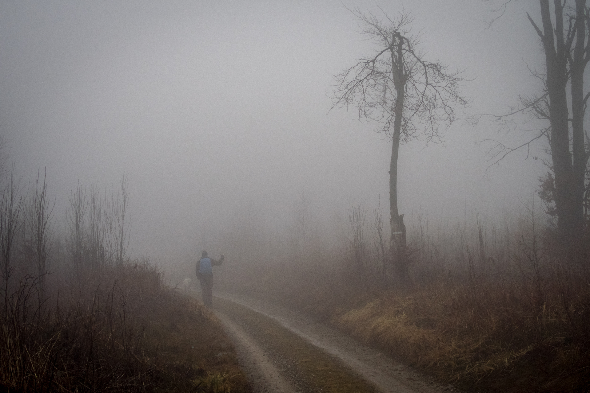 Veľká Knola zo sedla Grajnár (Volovské vrchy)