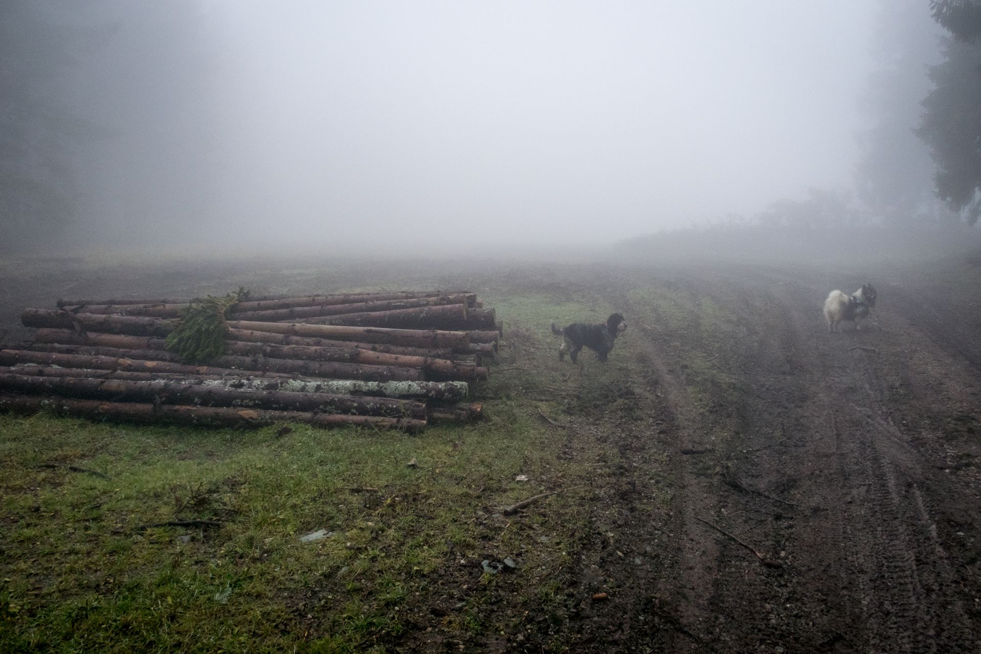 Veľká Knola zo sedla Grajnár (Volovské vrchy)