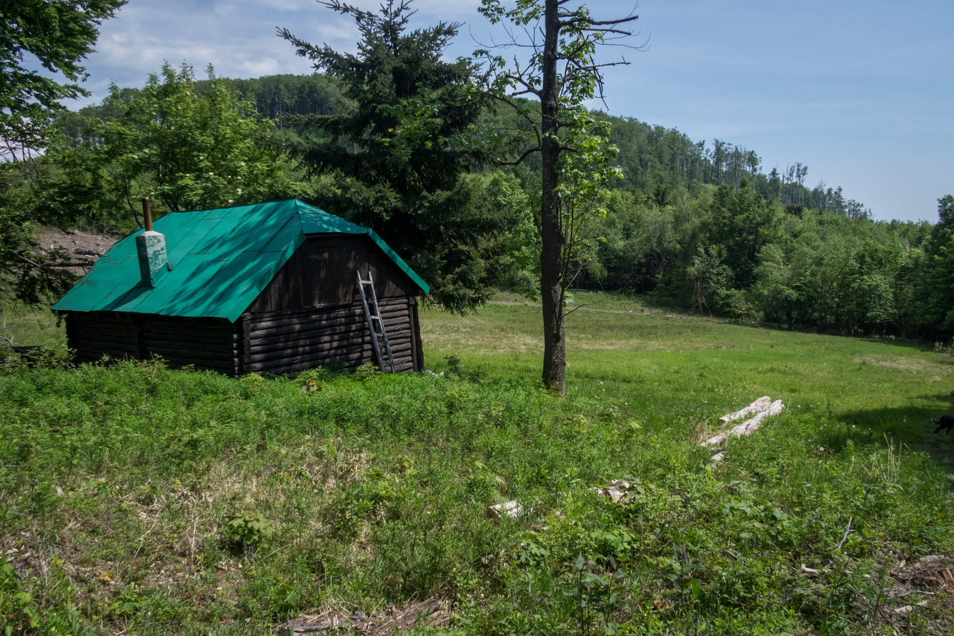 Vihorlat z Remetských Hámrov (Vihorlatské vrchy)