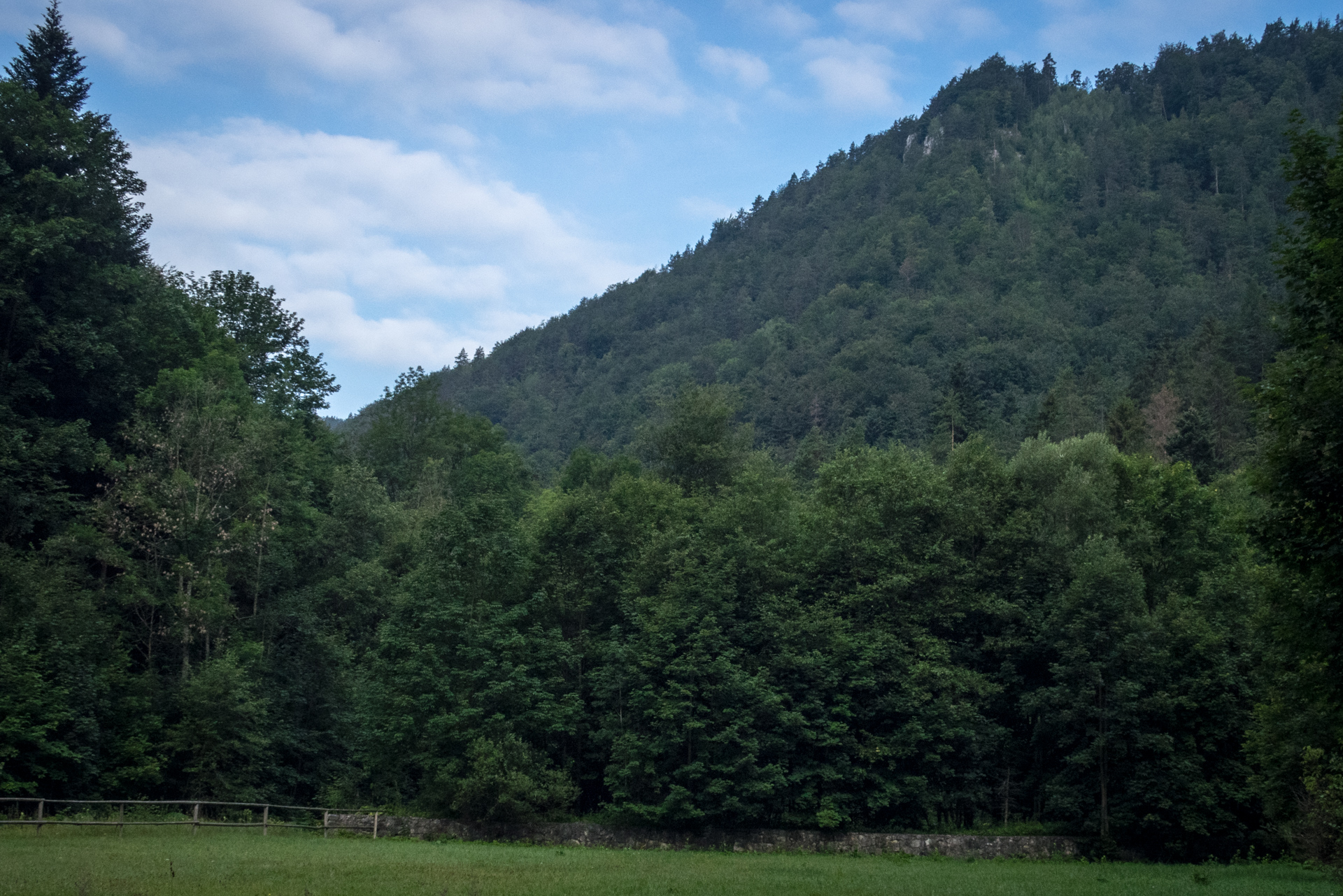 Vysoký vrch a Biela skala zo Sloviniek (Volovské vrchy)