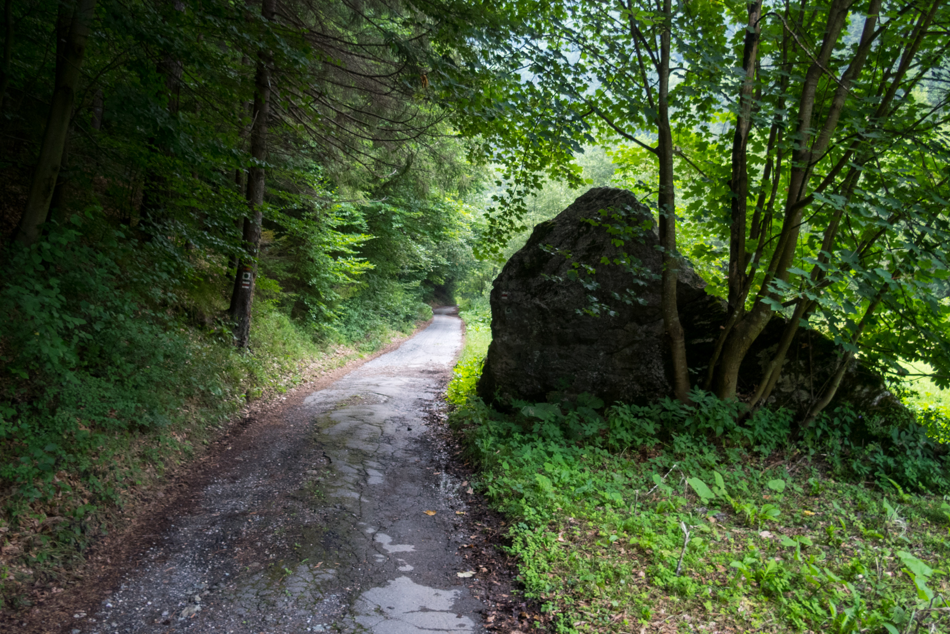 Vysoký vrch a Biela skala zo Sloviniek (Volovské vrchy)