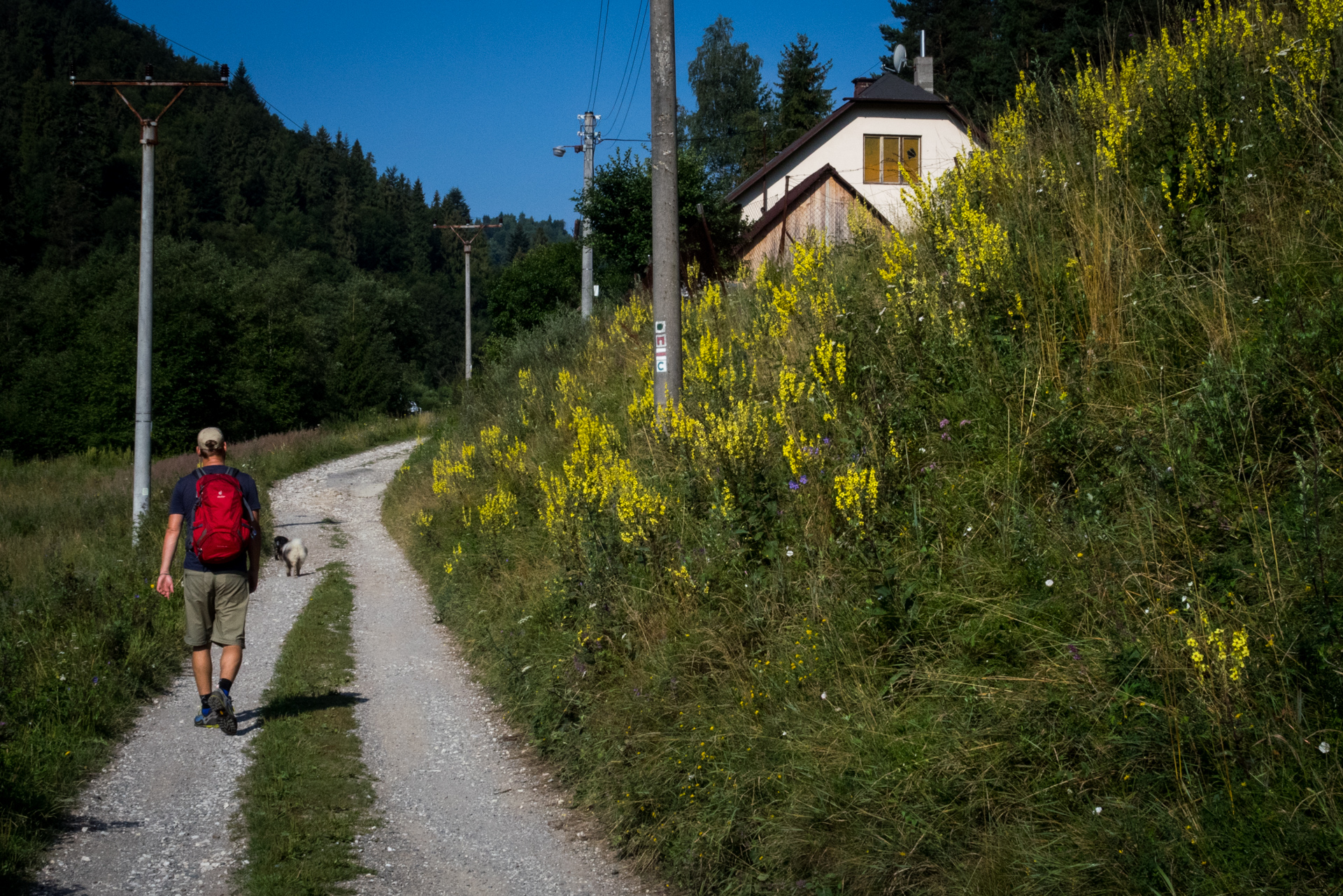 Vysoký vrch a Biela skala zo Sloviniek (Volovské vrchy)