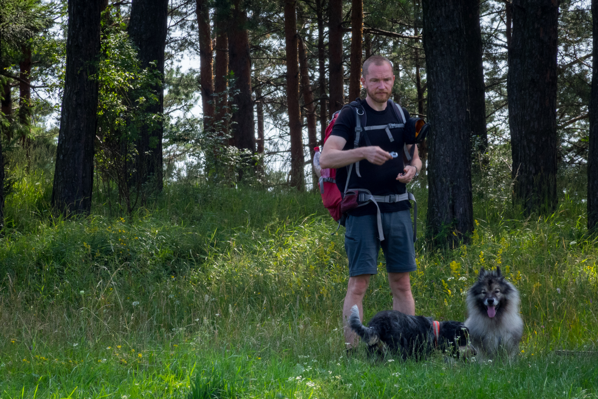 Vysoký vrch a Biela skala zo Sloviniek (Volovské vrchy)