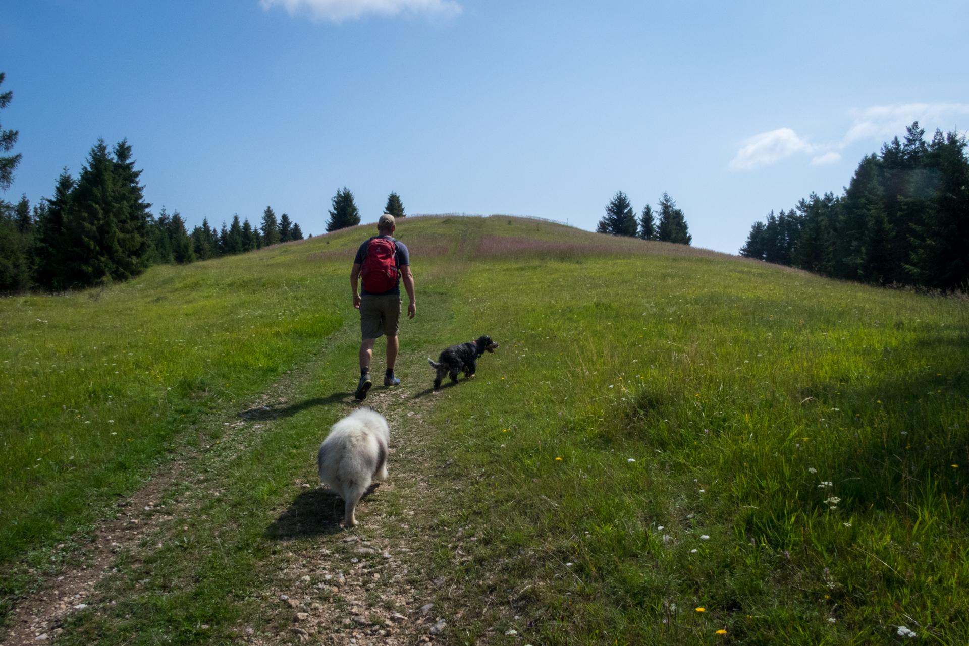 Vysoký vrch a Biela skala zo Sloviniek (Volovské vrchy)