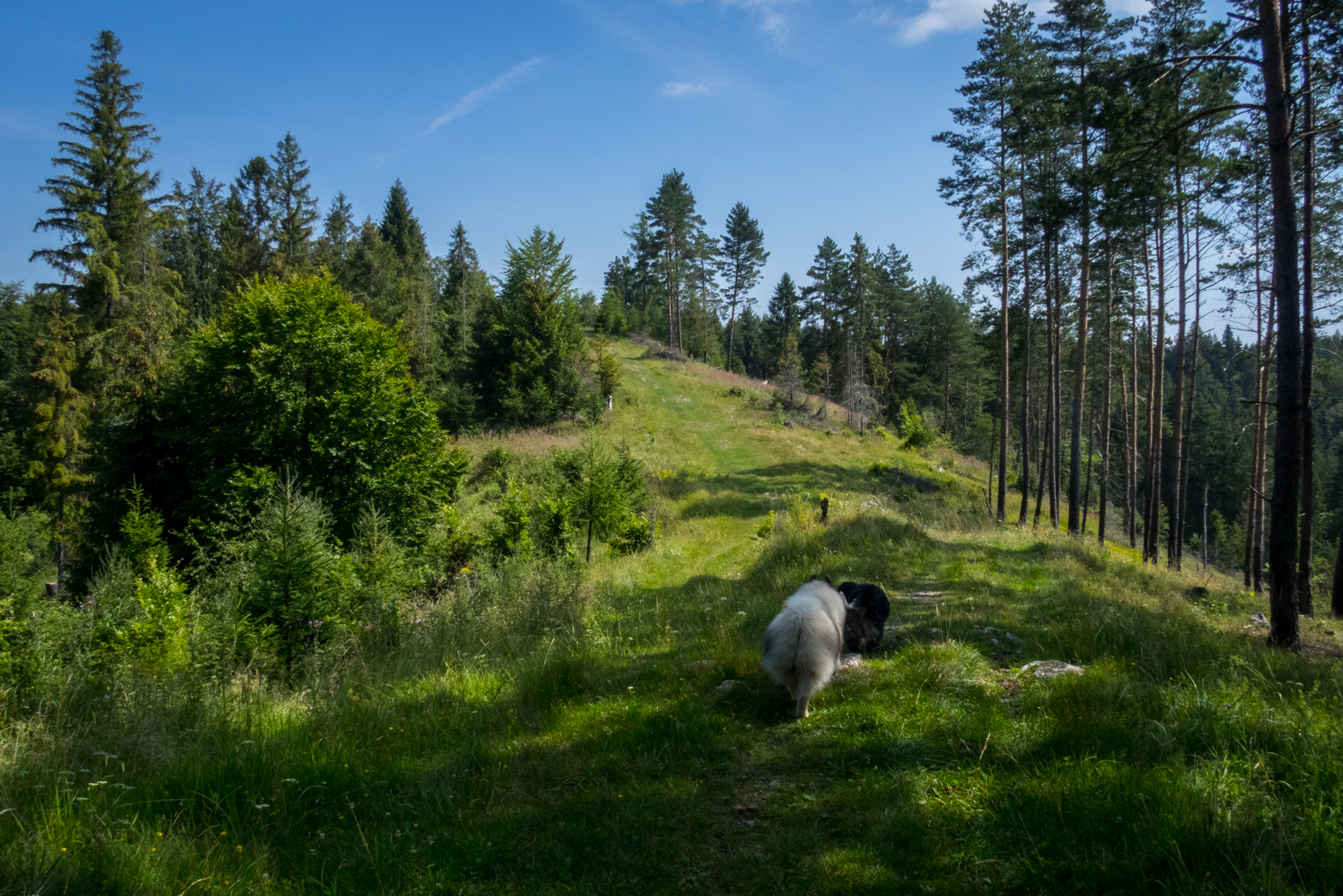 Vysoký vrch a Biela skala zo Sloviniek (Volovské vrchy)