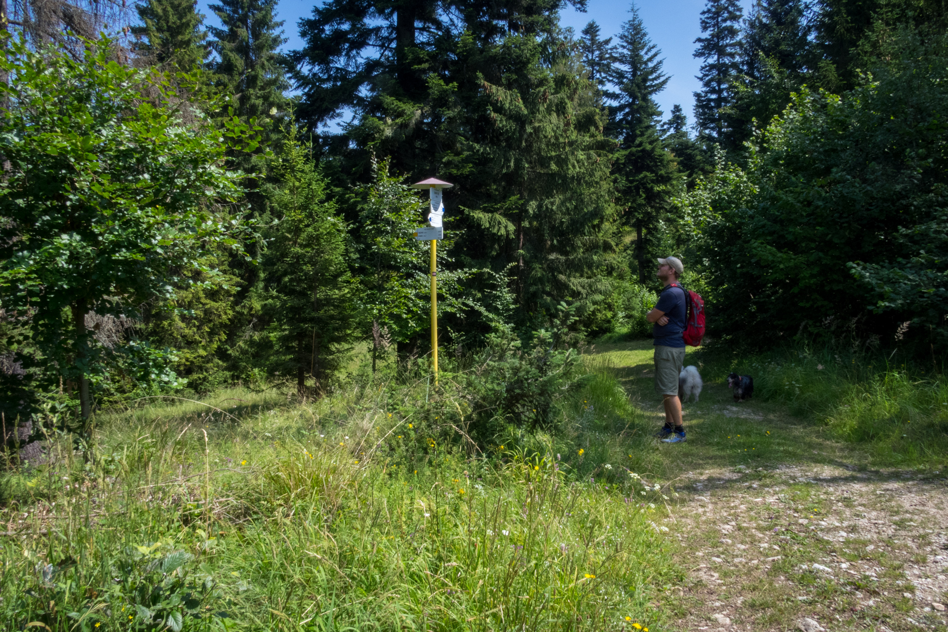 Vysoký vrch a Biela skala zo Sloviniek (Volovské vrchy)