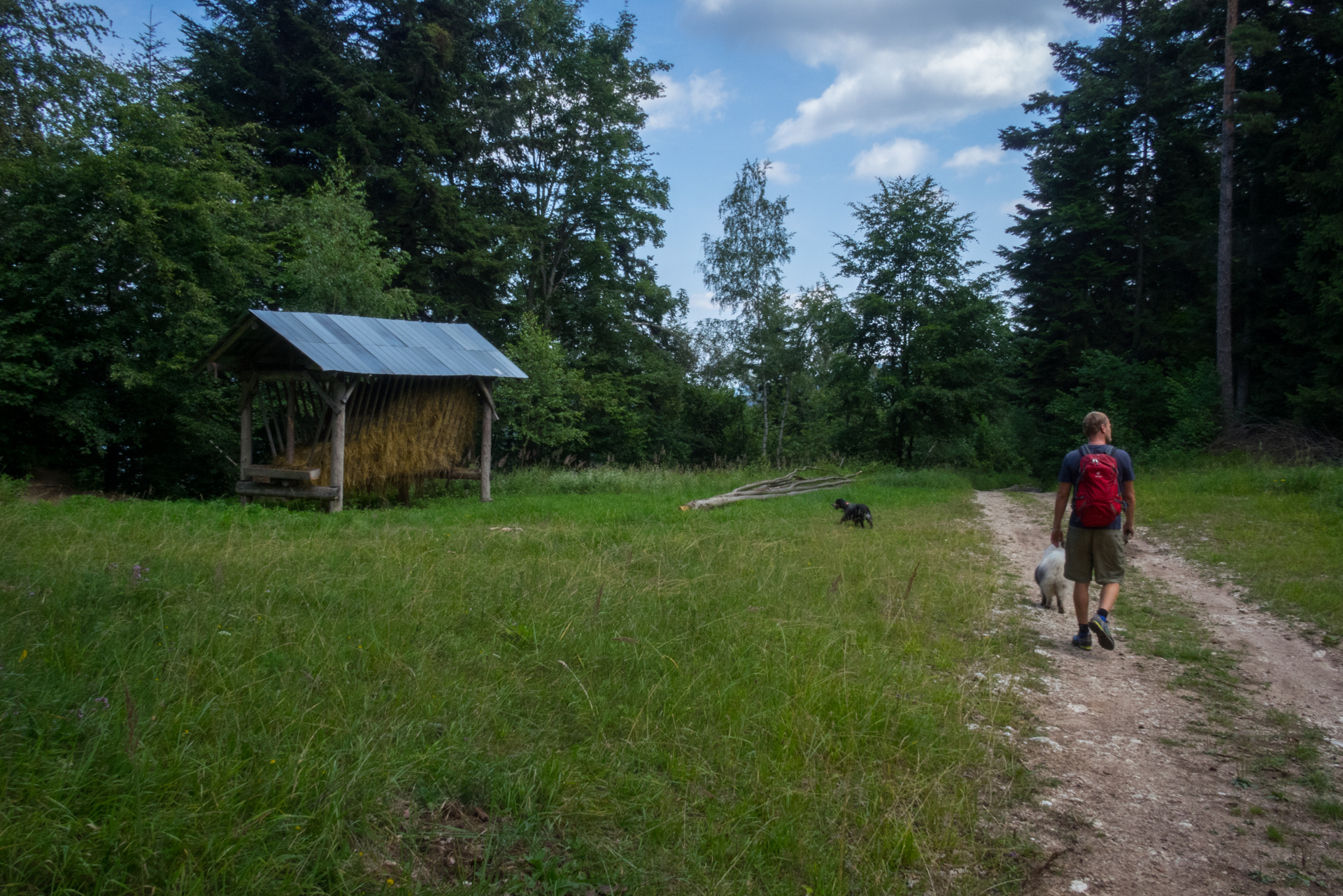 Vysoký vrch a Biela skala zo Sloviniek (Volovské vrchy)