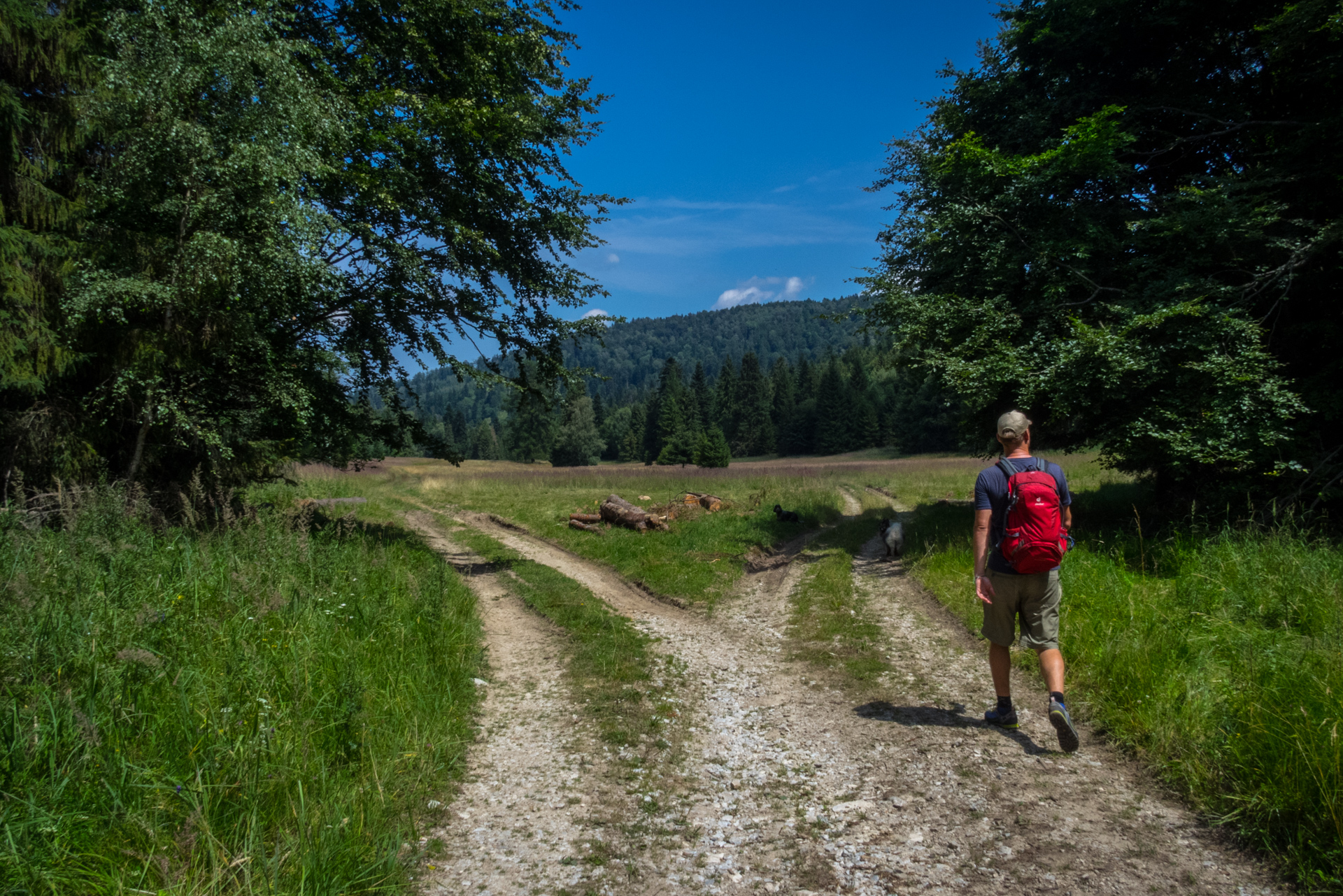 Vysoký vrch a Biela skala zo Sloviniek (Volovské vrchy)