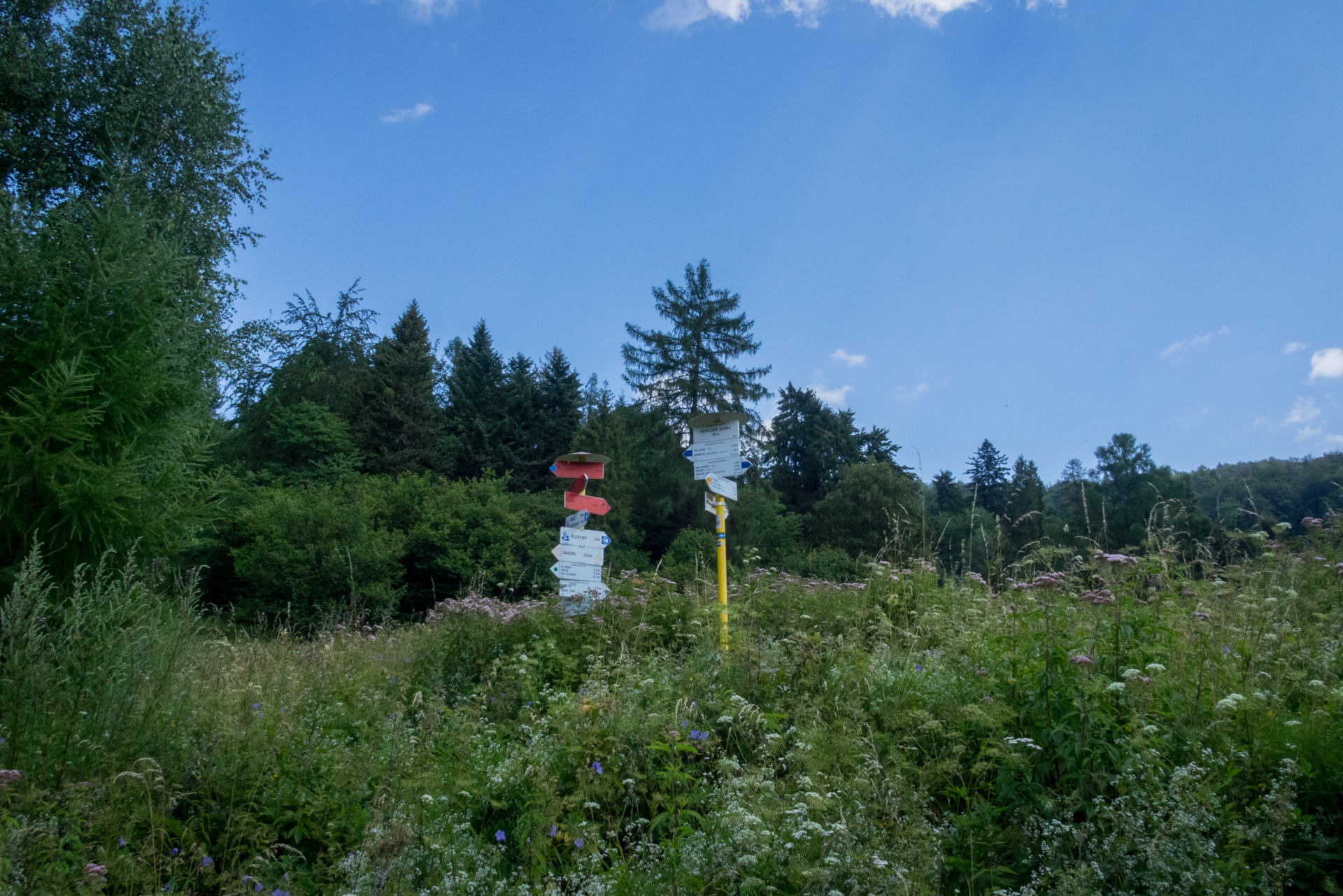 Vysoký vrch a Biela skala zo Sloviniek (Volovské vrchy)