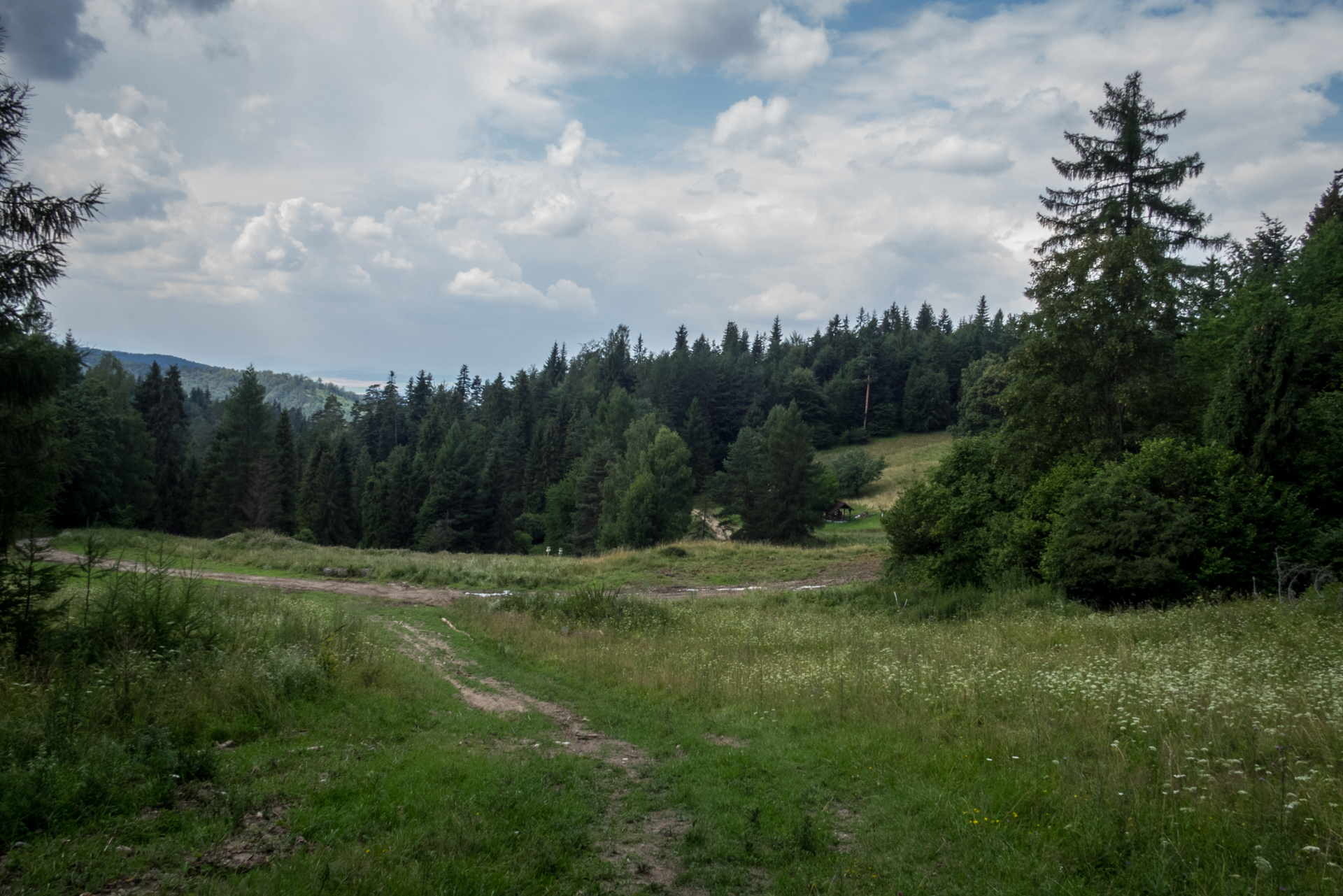 Vysoký vrch a Biela skala zo Sloviniek (Volovské vrchy)