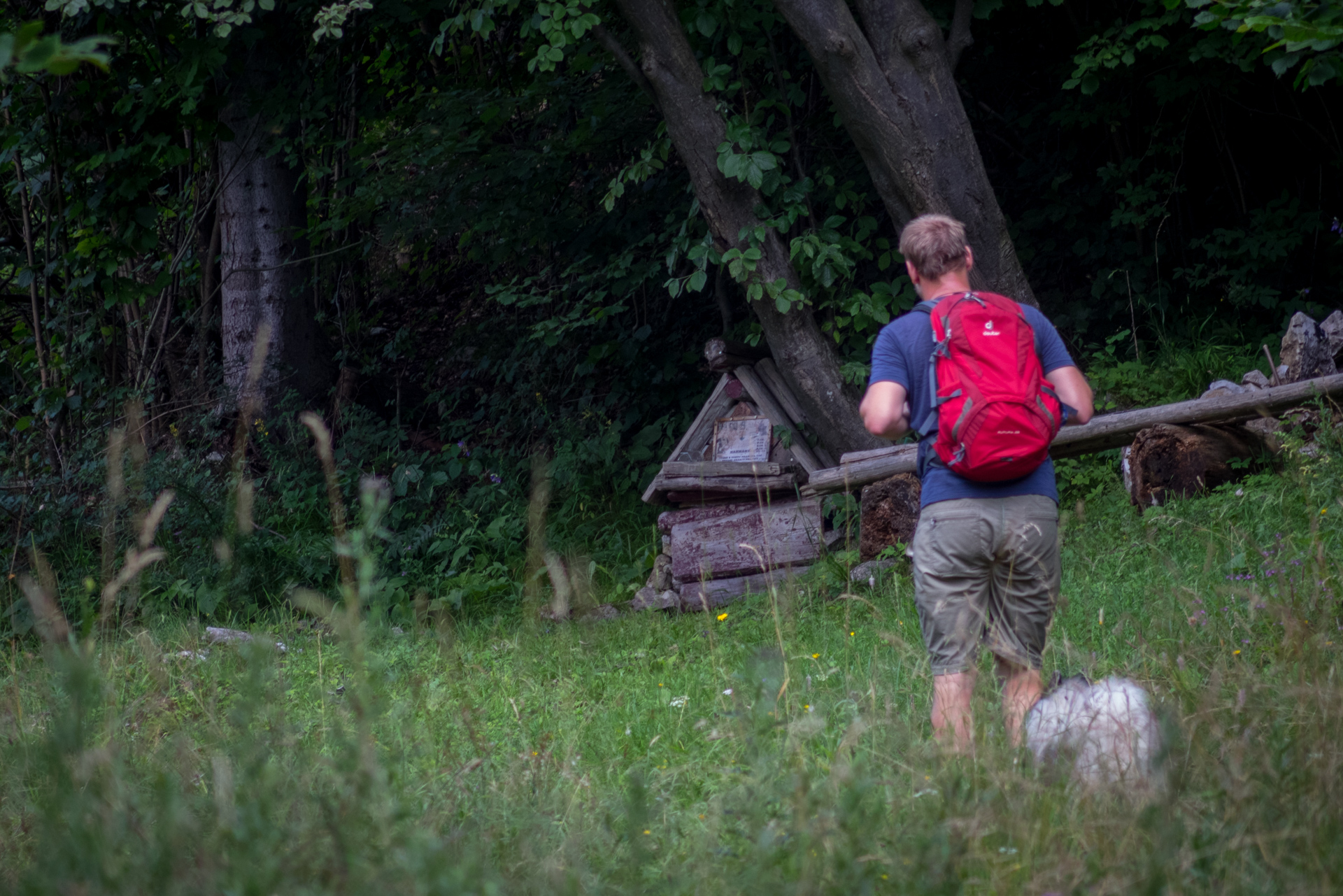 Vysoký vrch a Biela skala zo Sloviniek (Volovské vrchy)