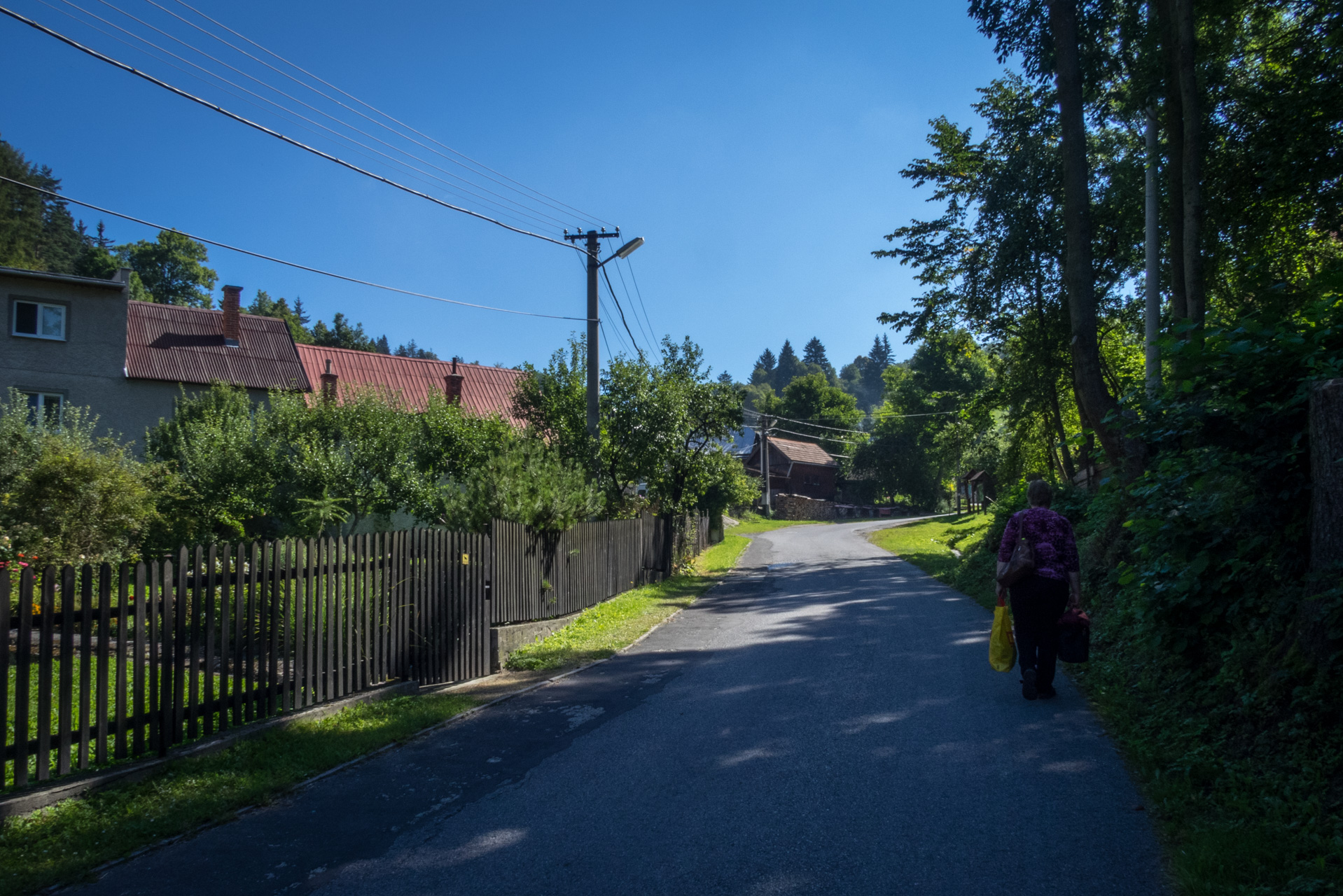 Z Čremošného na Suchý vrch (Veľká Fatra)