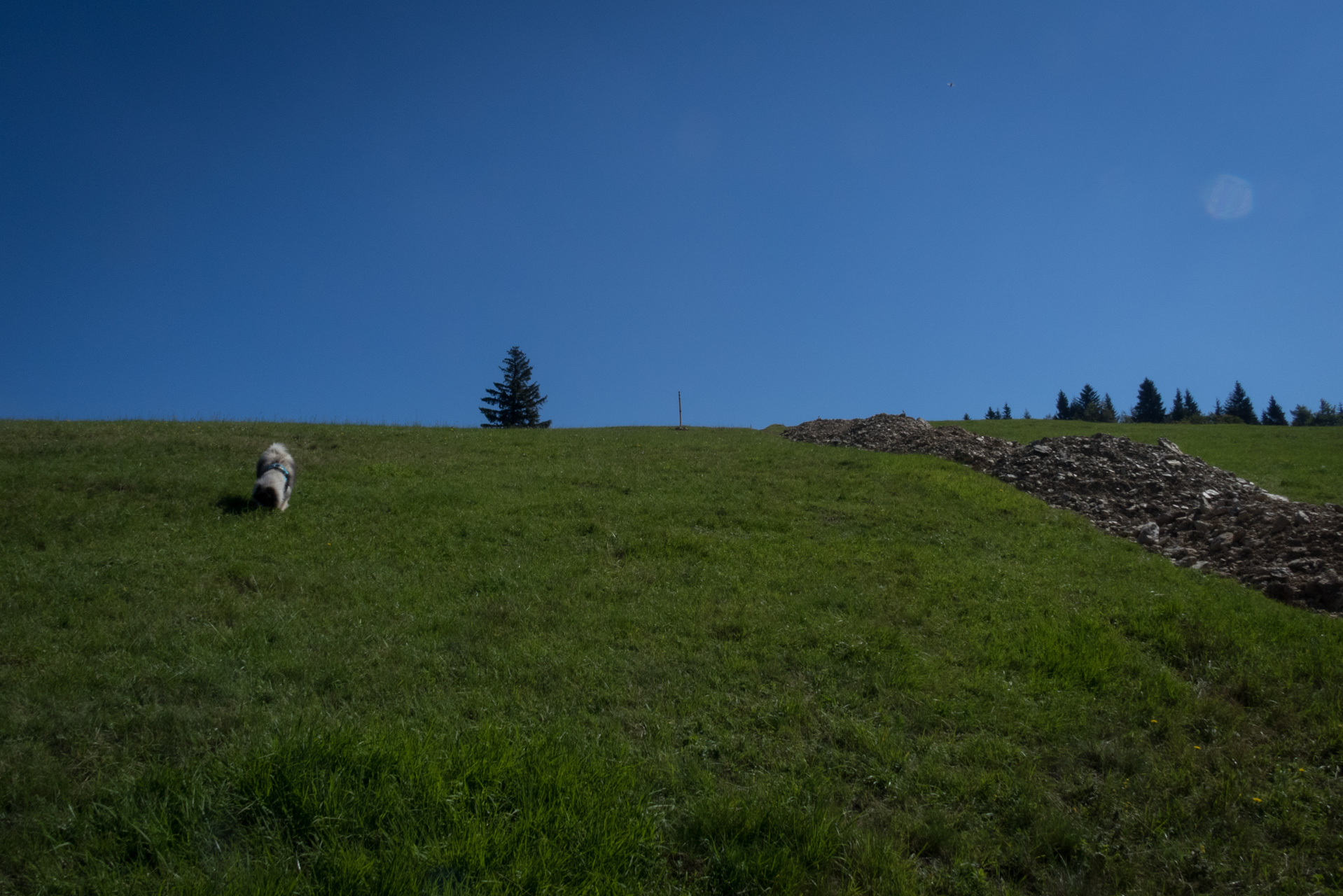 Z Čremošného na Suchý vrch (Veľká Fatra)