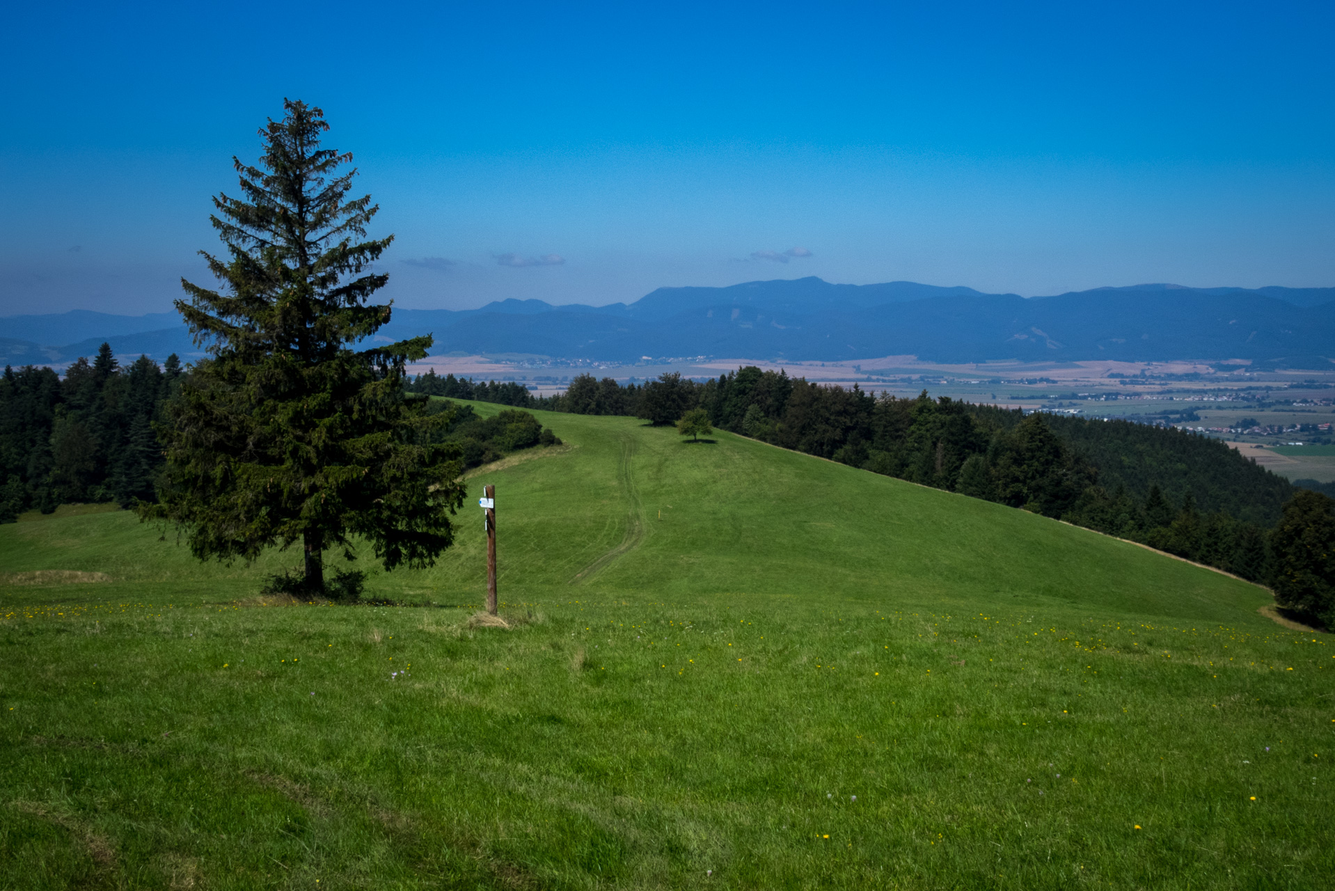 Z Čremošného na Suchý vrch (Veľká Fatra)