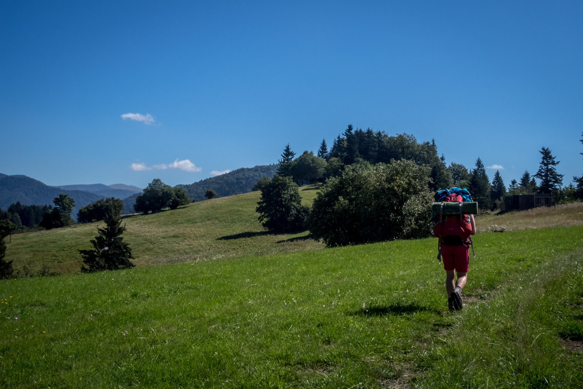 Z Čremošného na Suchý vrch (Veľká Fatra)