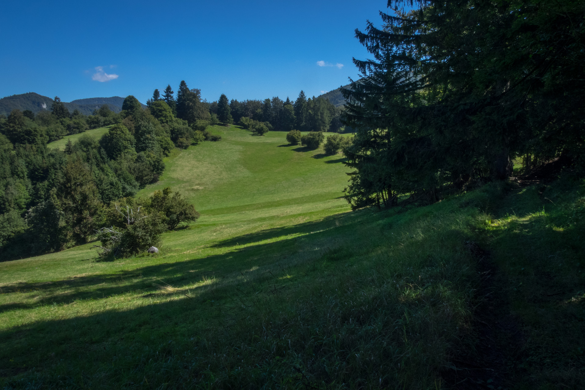 Z Čremošného na Suchý vrch (Veľká Fatra)