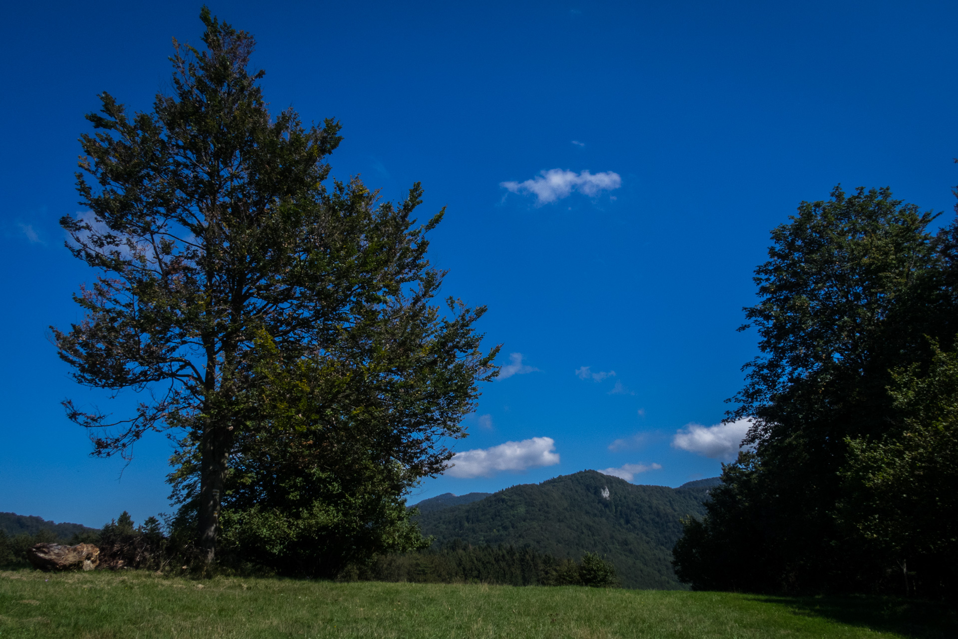 Z Čremošného na Suchý vrch (Veľká Fatra)