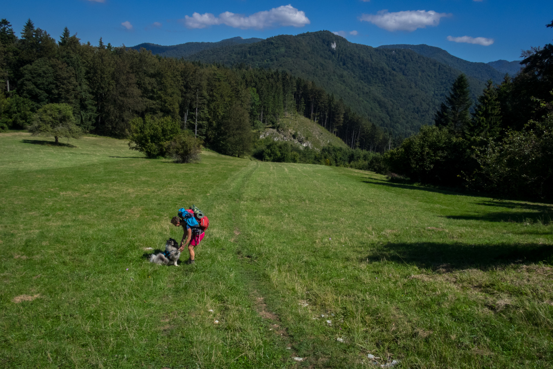 Z Čremošného na Suchý vrch (Veľká Fatra)