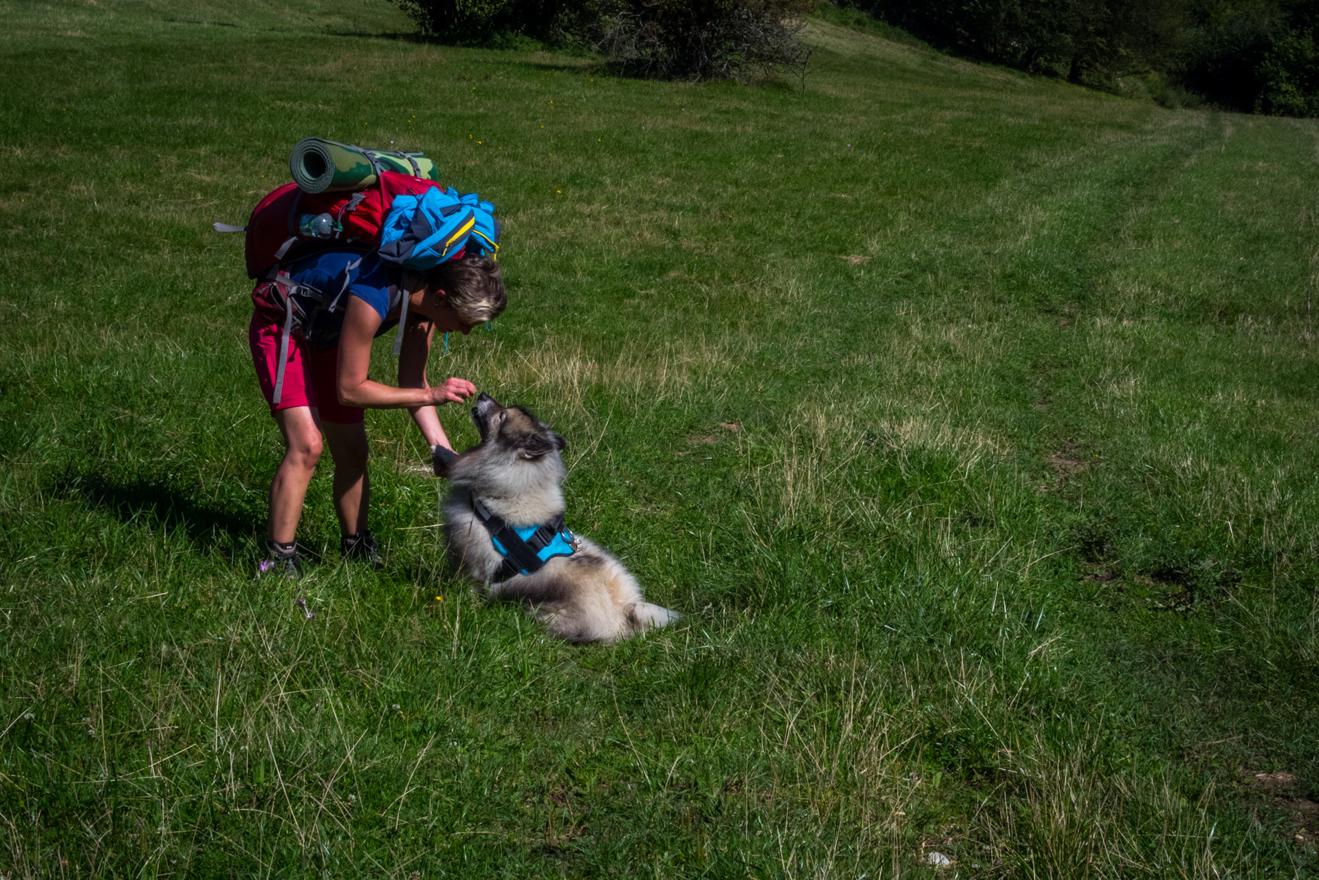 Z Čremošného na Suchý vrch (Veľká Fatra)