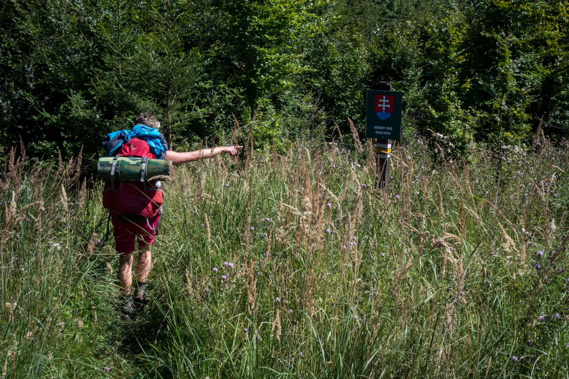 Z Čremošného na Suchý vrch (Veľká Fatra)