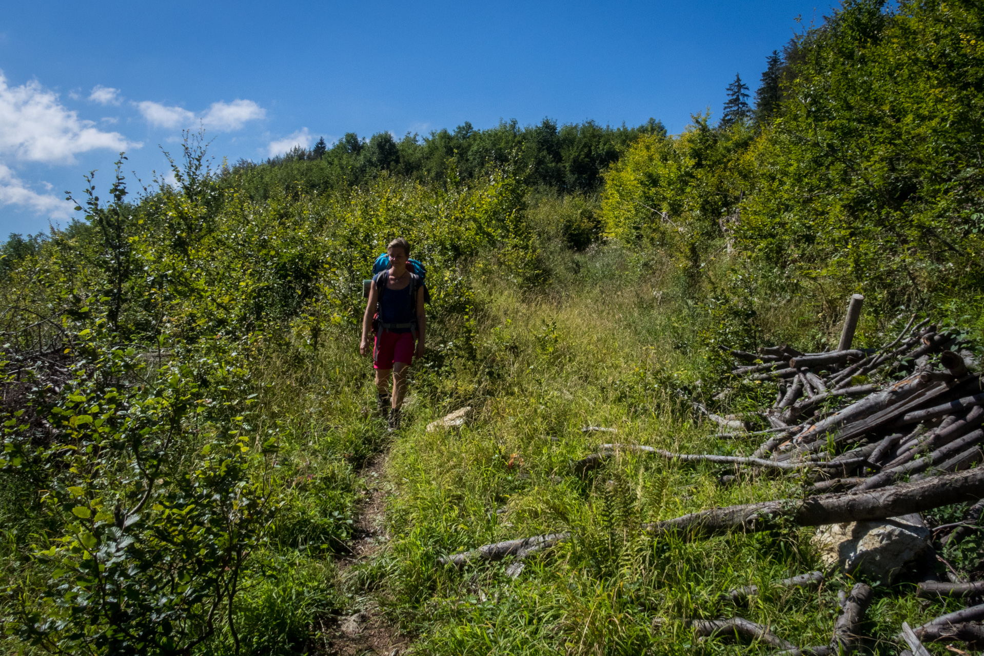 Z Čremošného na Suchý vrch (Veľká Fatra)