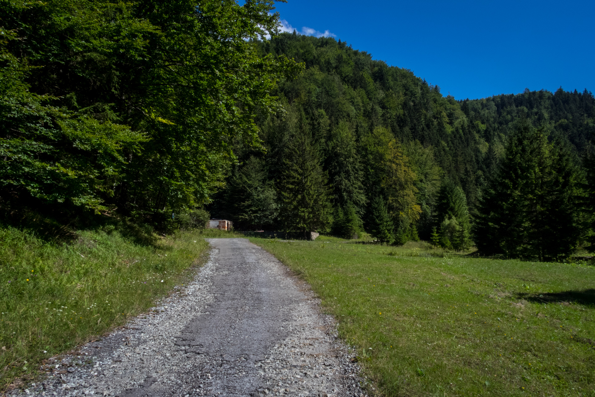 Z Čremošného na Suchý vrch (Veľká Fatra)