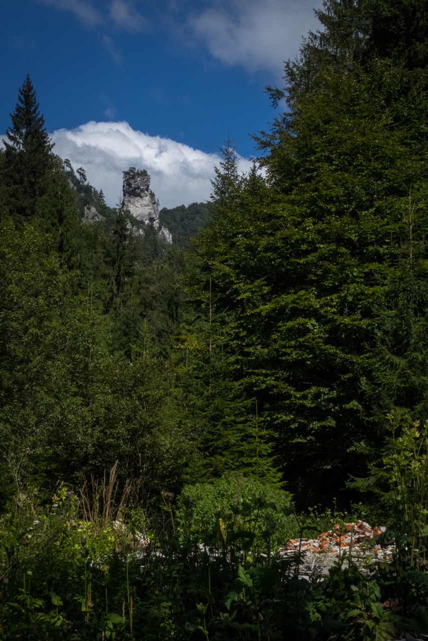 Z Čremošného na Suchý vrch (Veľká Fatra)