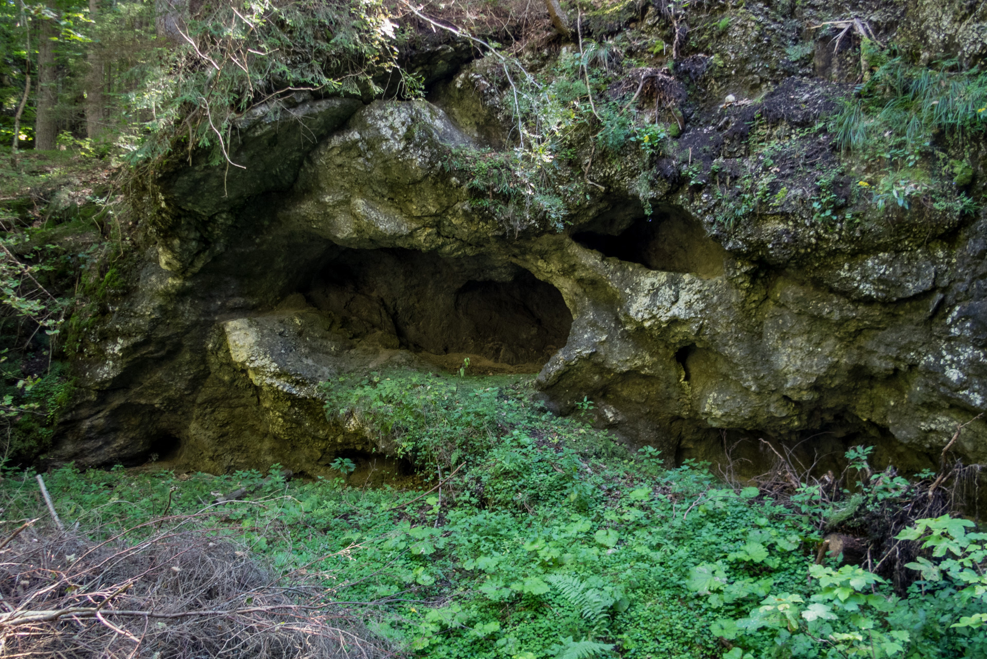 Z Čremošného na Suchý vrch (Veľká Fatra)