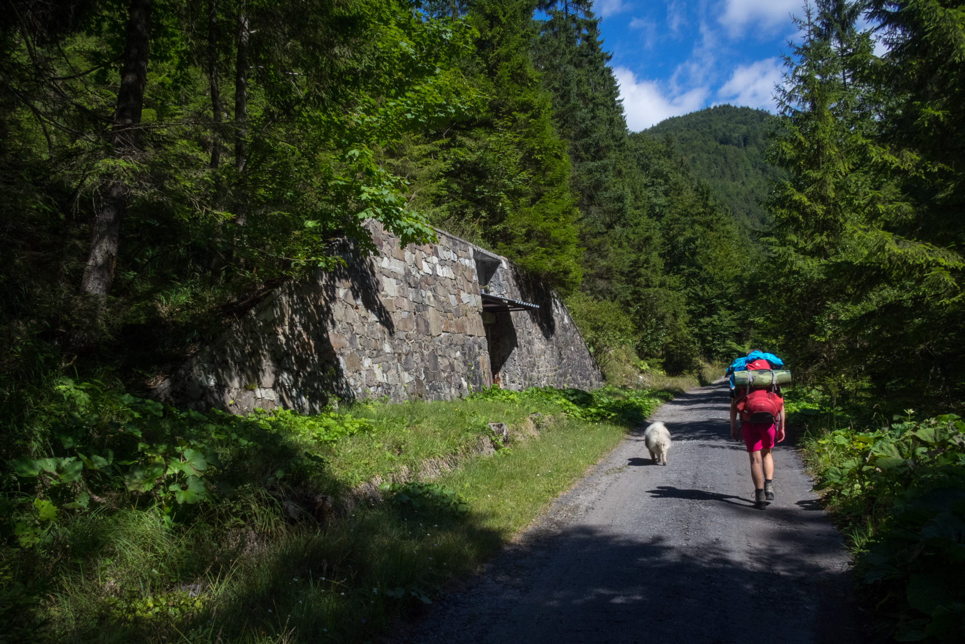 Z Čremošného na Suchý vrch (Veľká Fatra)