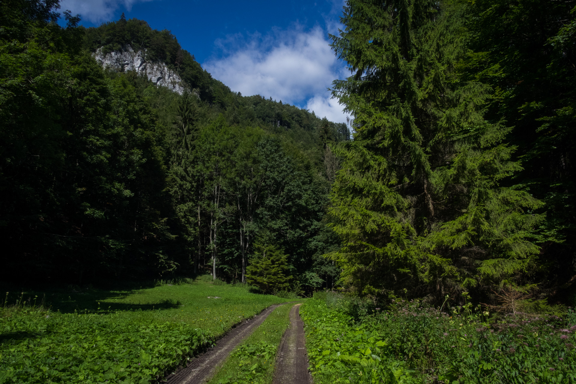 Z Čremošného na Suchý vrch (Veľká Fatra)