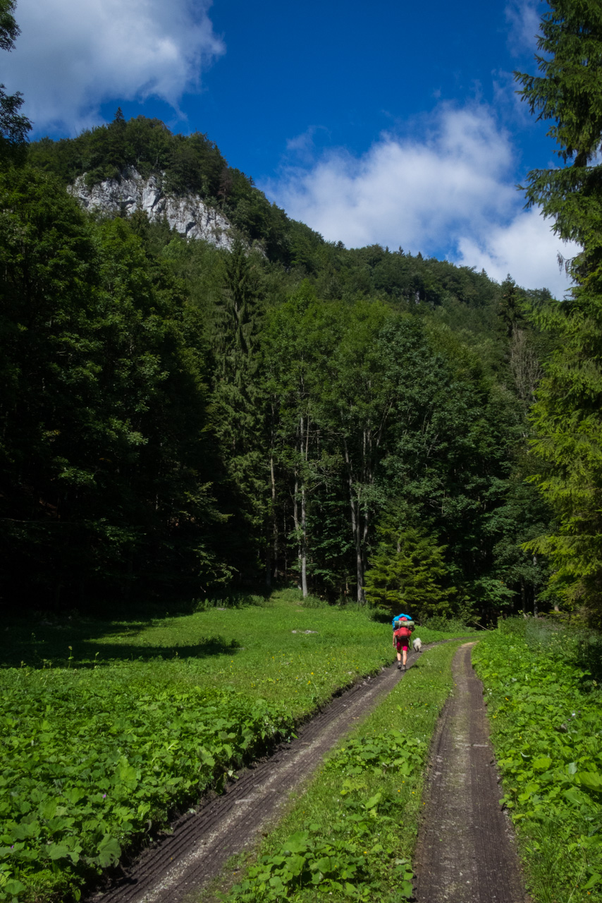 Z Čremošného na Suchý vrch (Veľká Fatra)