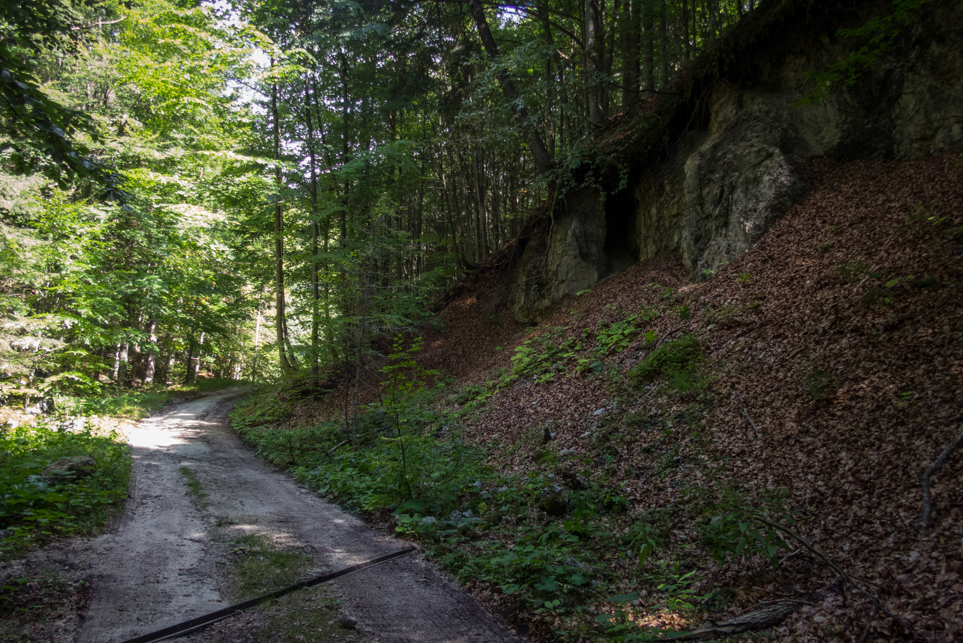 Z Čremošného na Suchý vrch (Veľká Fatra)