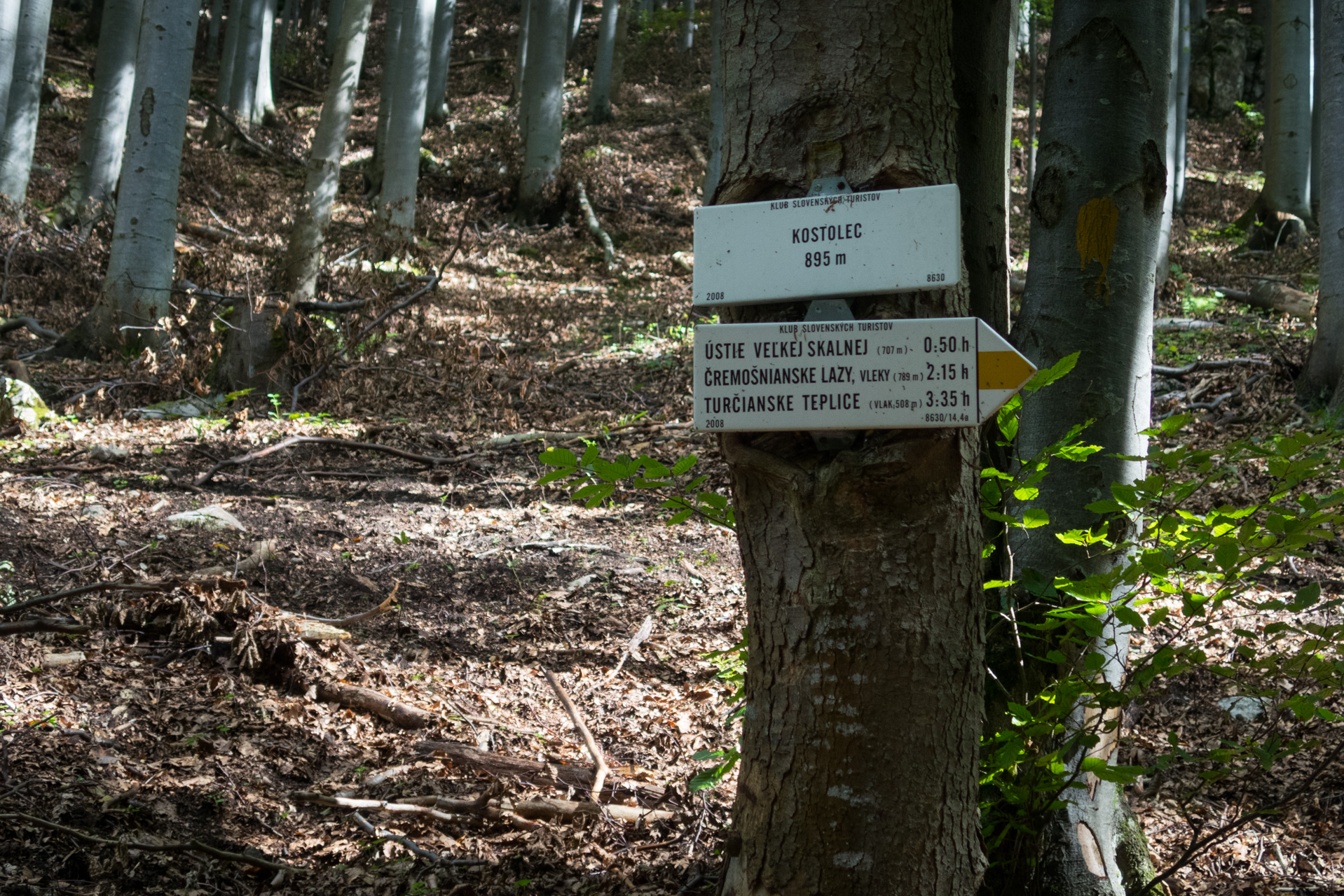 Z Čremošného na Suchý vrch (Veľká Fatra)