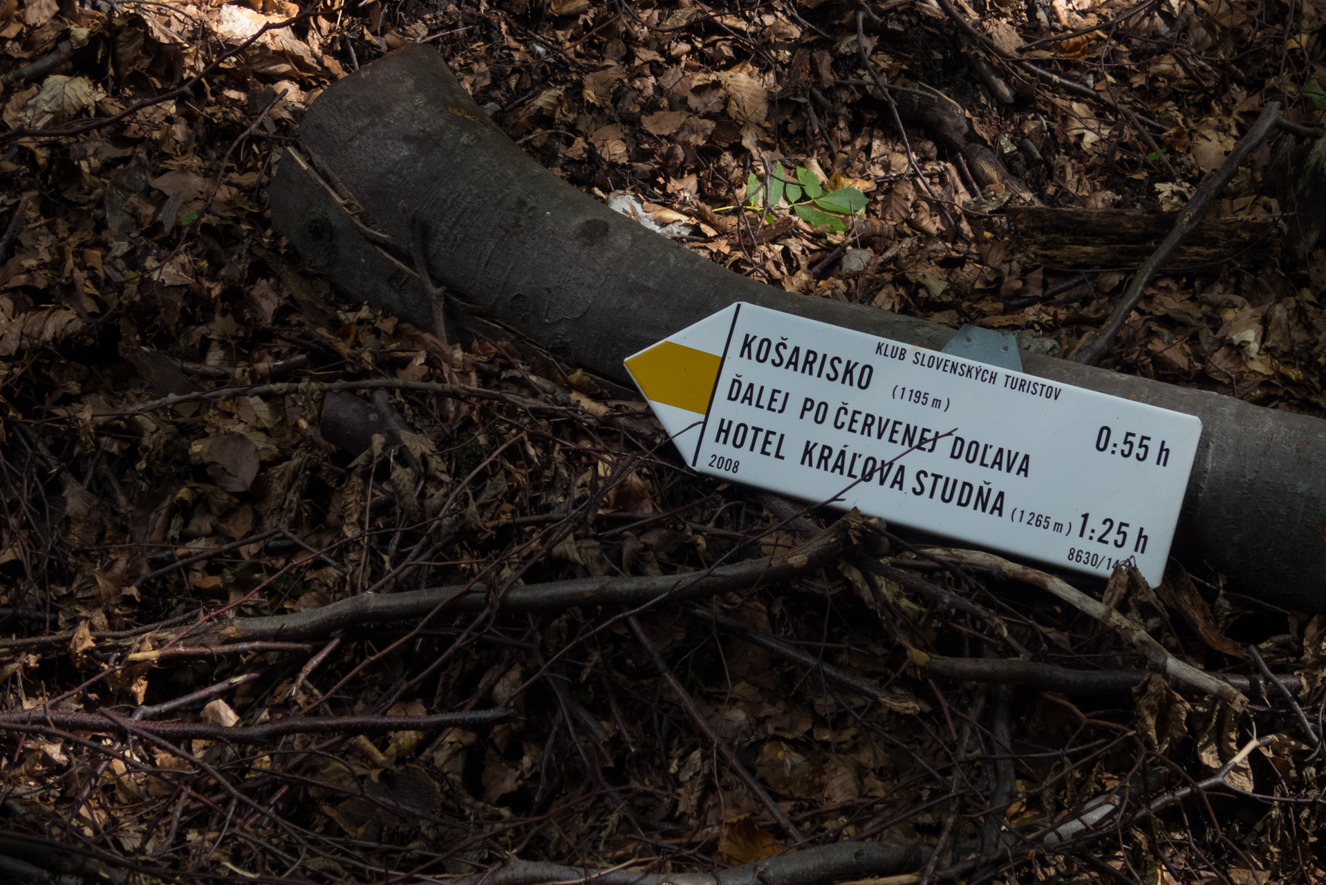 Z Čremošného na Suchý vrch (Veľká Fatra)