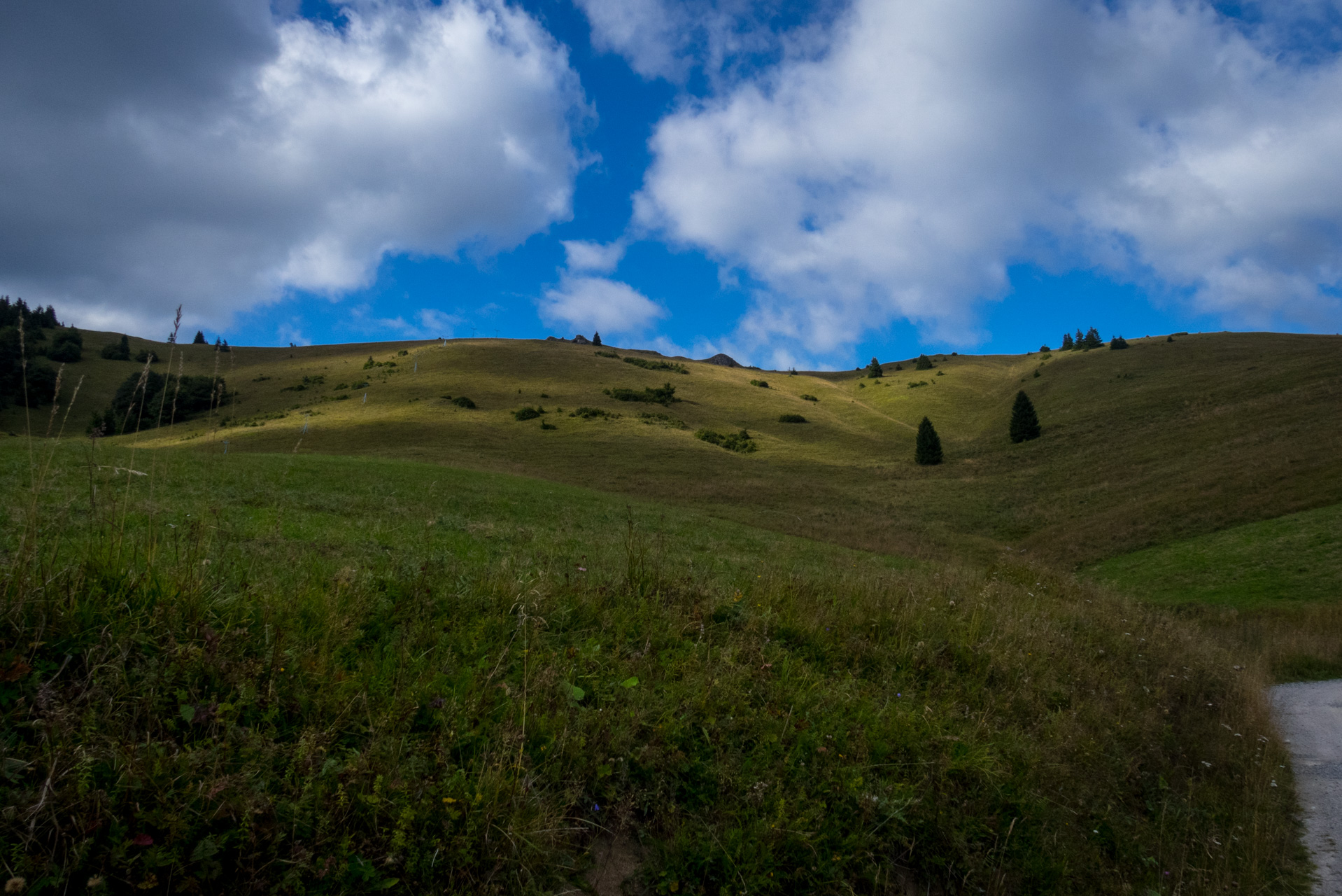 Z Čremošného na Suchý vrch (Veľká Fatra)