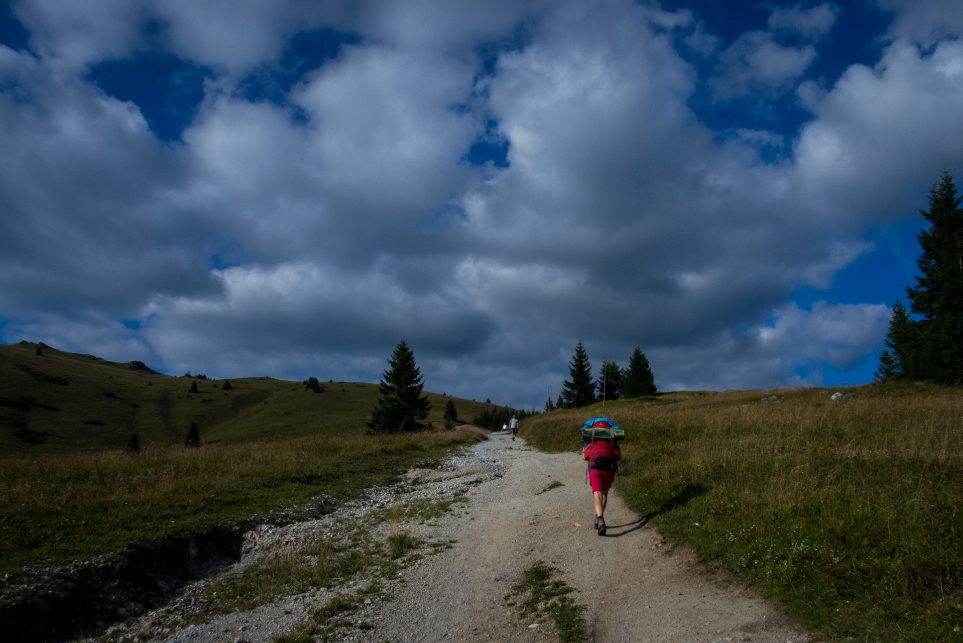 Z Čremošného na Suchý vrch (Veľká Fatra)