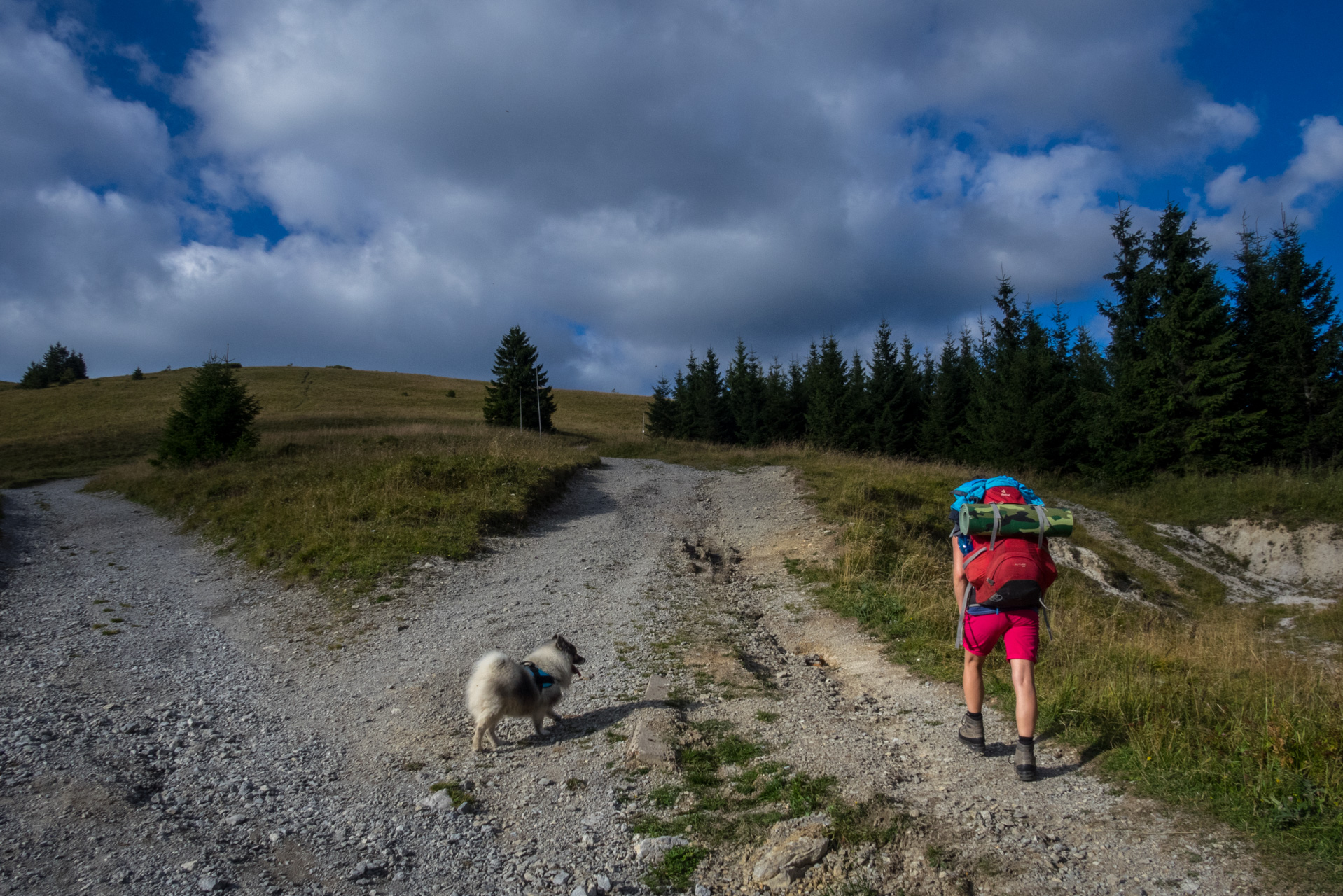 Z Čremošného na Suchý vrch (Veľká Fatra)