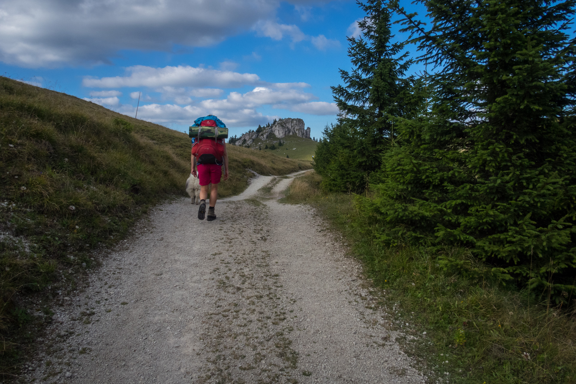 Z Čremošného na Suchý vrch (Veľká Fatra)