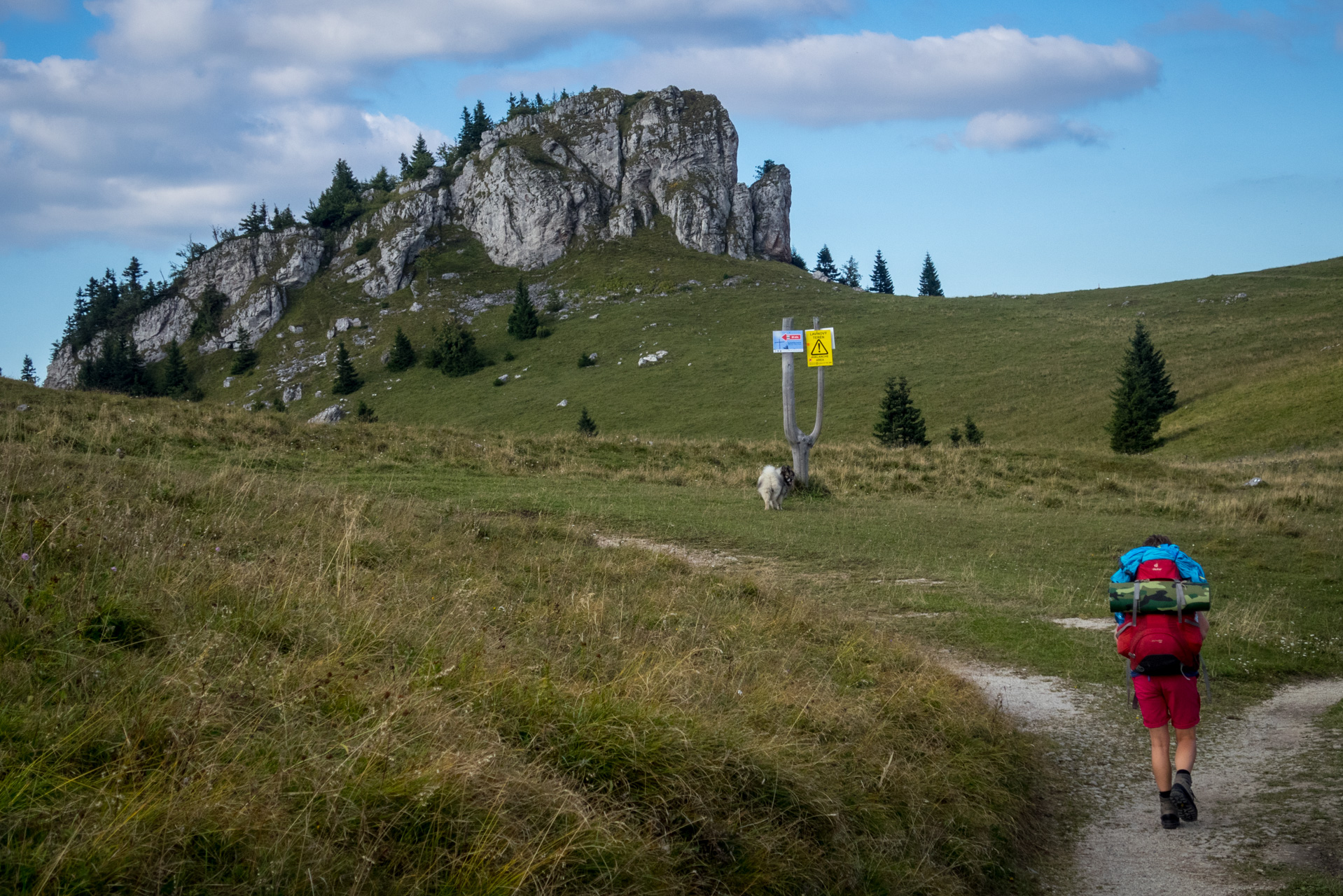 Z Čremošného na Suchý vrch (Veľká Fatra)