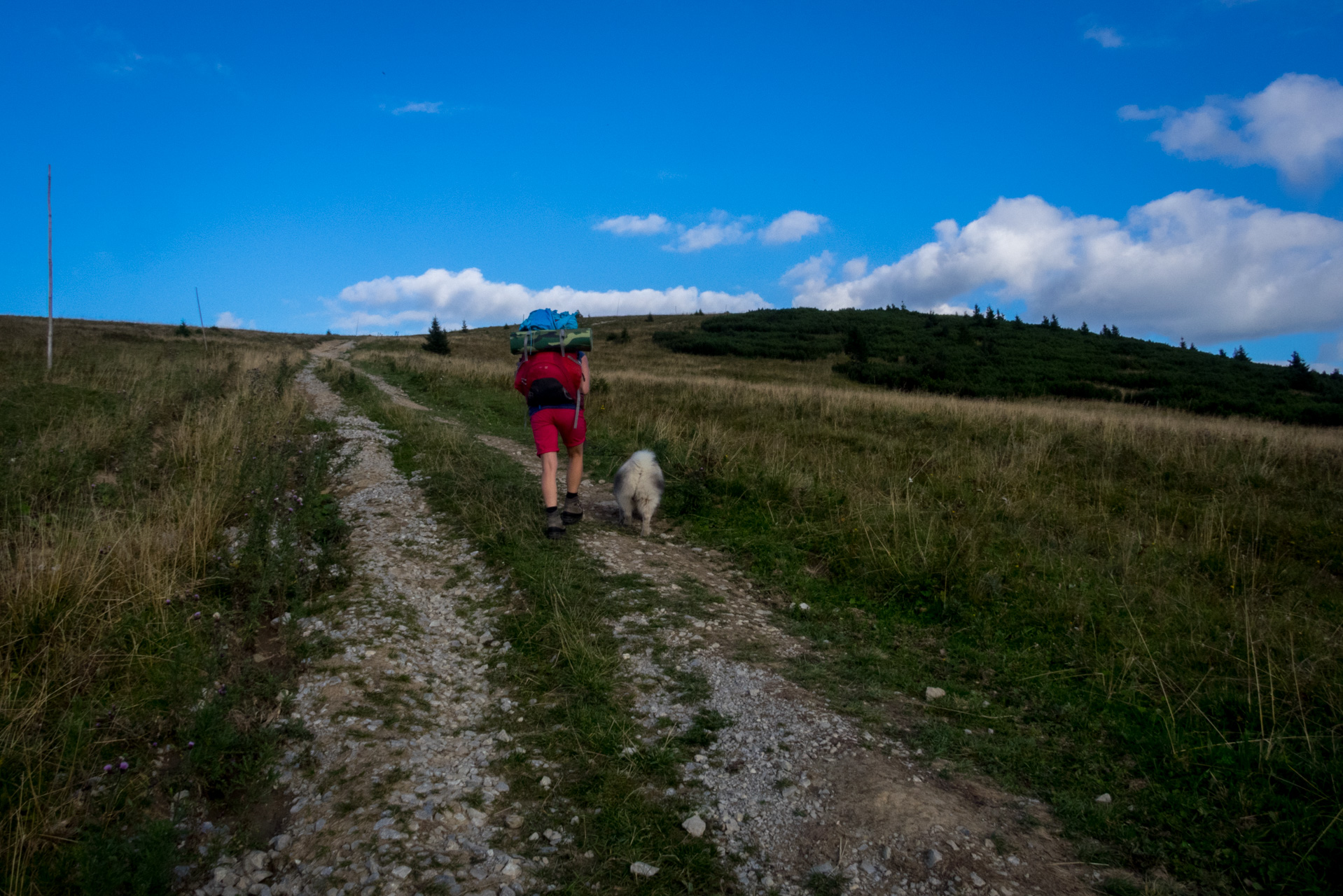 Z Čremošného na Suchý vrch (Veľká Fatra)