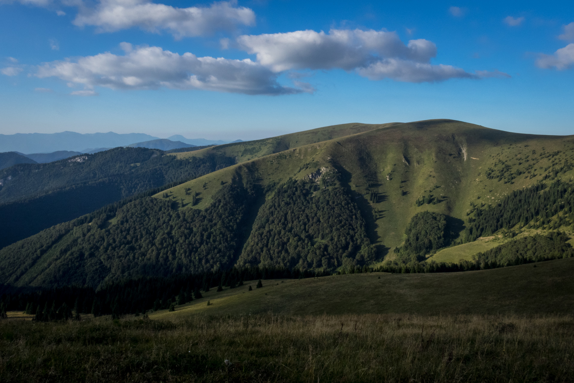 Z Čremošného na Suchý vrch (Veľká Fatra)