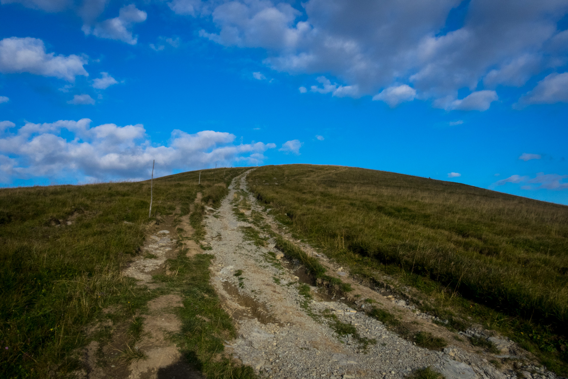 Z Čremošného na Suchý vrch (Veľká Fatra)