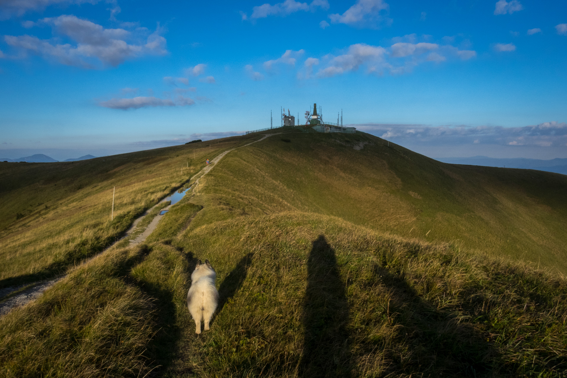 Z Čremošného na Suchý vrch (Veľká Fatra)