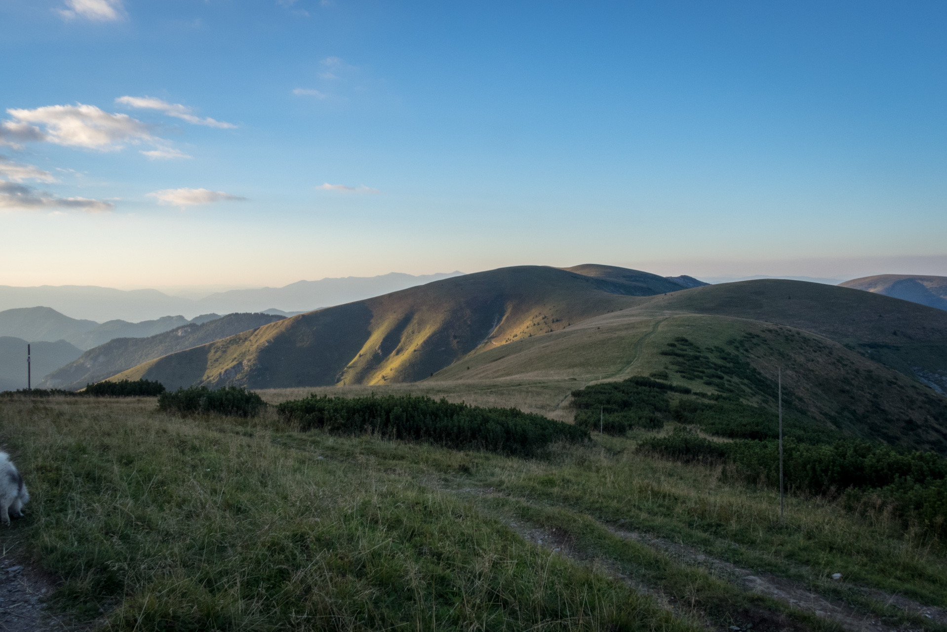 Z Čremošného na Suchý vrch (Veľká Fatra)