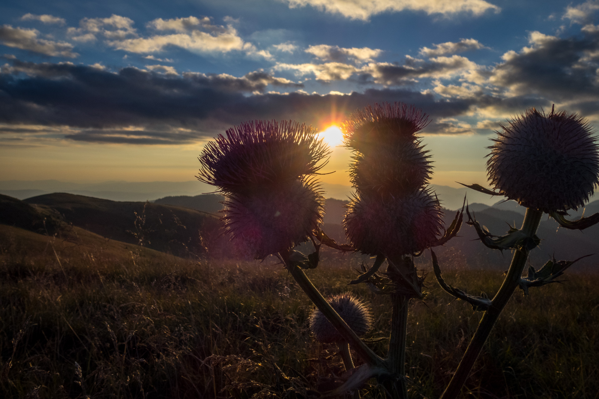 Z Čremošného na Suchý vrch (Veľká Fatra)