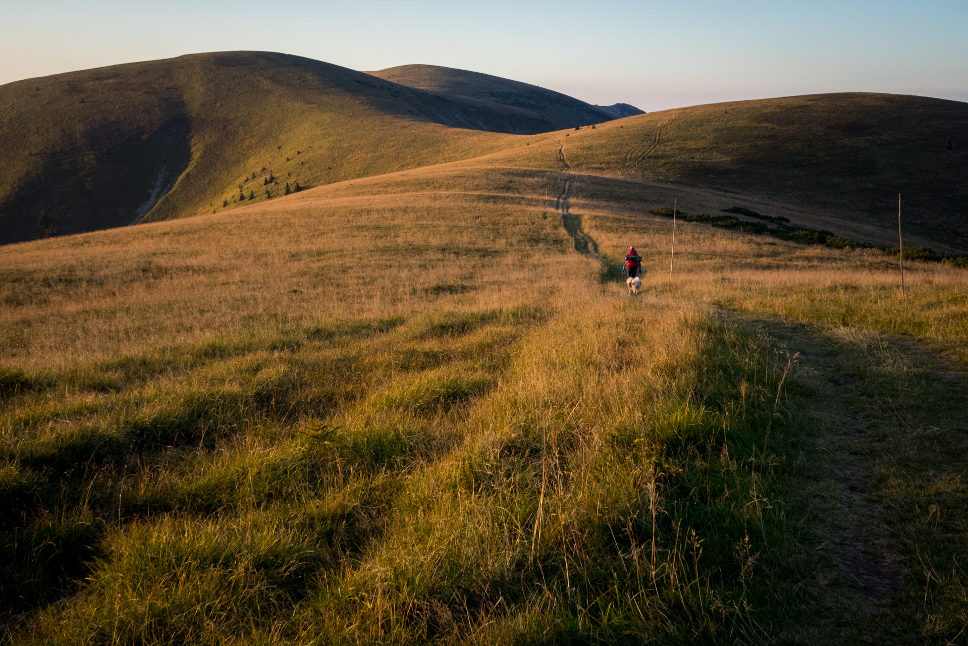 Z Čremošného na Suchý vrch (Veľká Fatra)