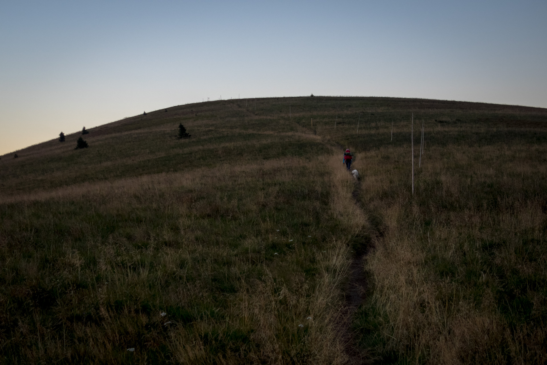 Z Čremošného na Suchý vrch (Veľká Fatra)