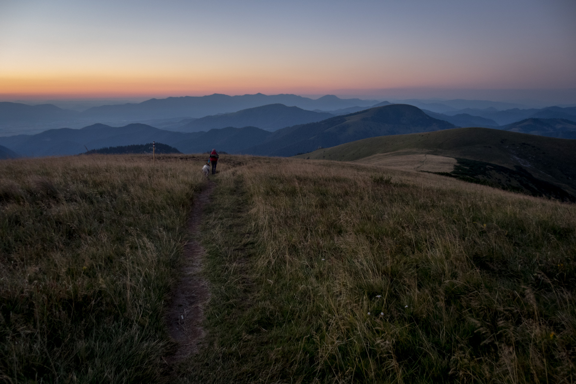 Z Čremošného na Suchý vrch (Veľká Fatra)