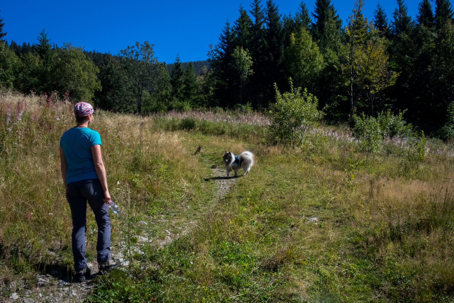 Z Heľpy cez Veľkú Vápenicu na útulňu Andrejcová (Nízke Tatry)