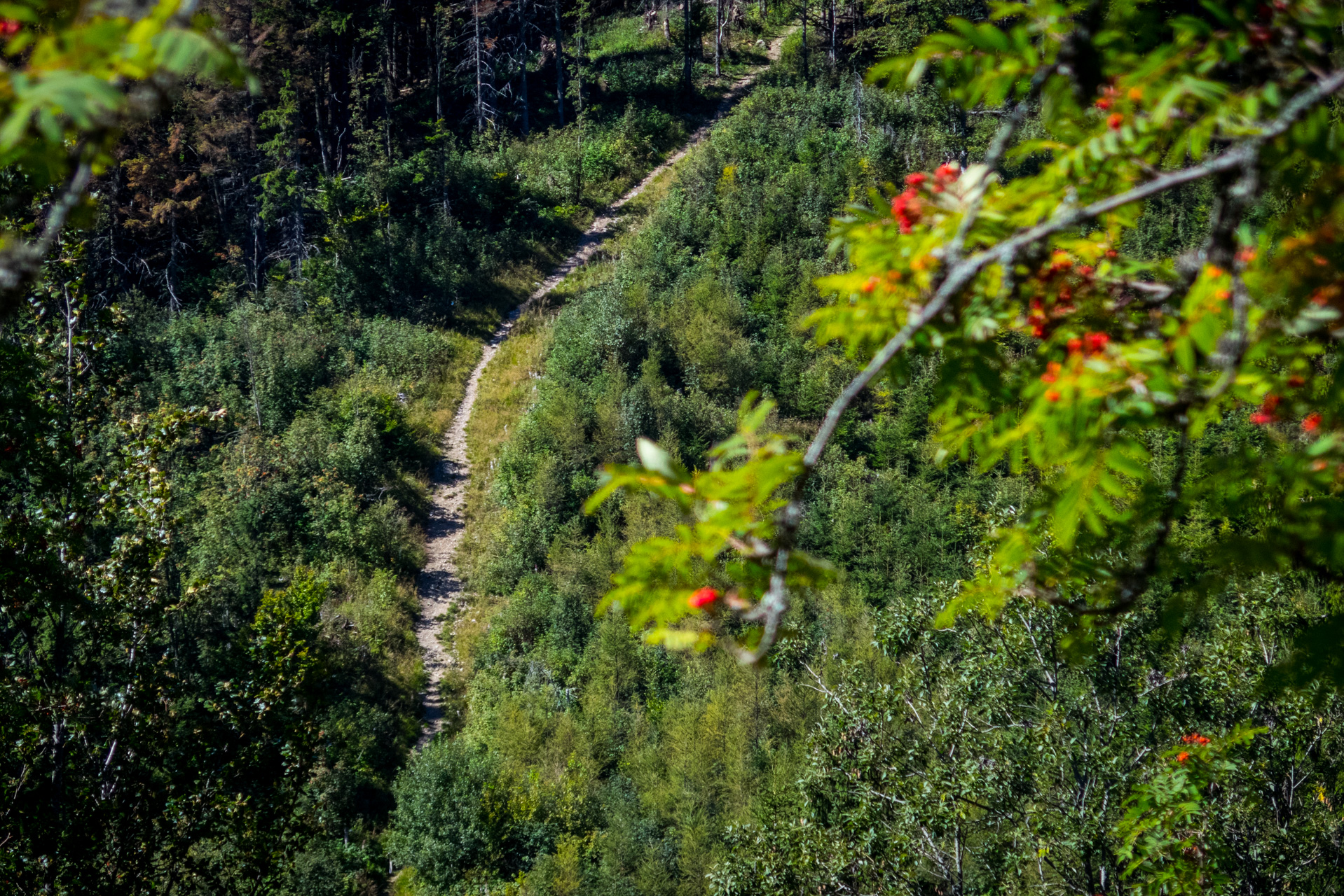 Z Heľpy cez Veľkú Vápenicu na útulňu Andrejcová (Nízke Tatry)